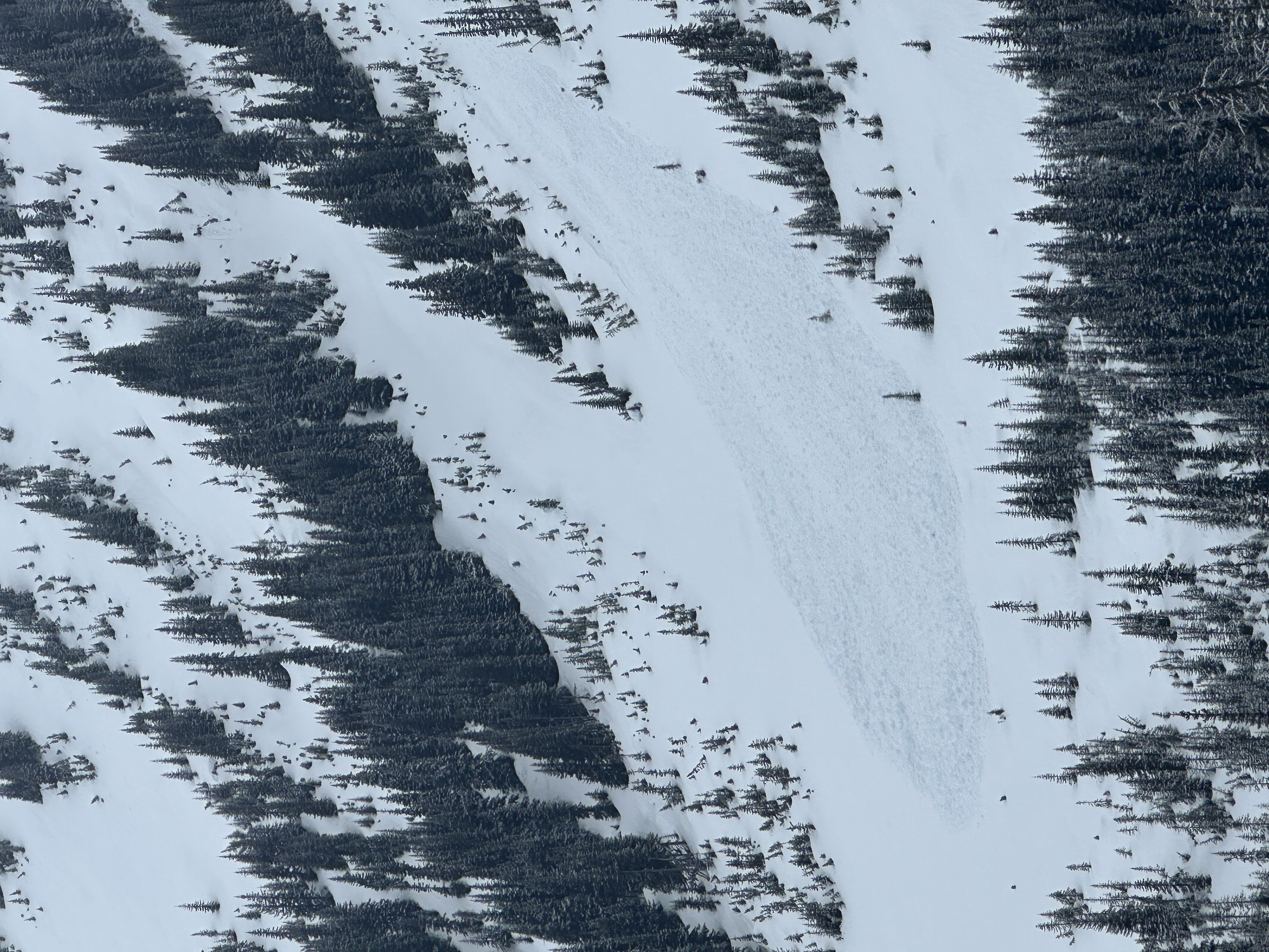 Observation photo