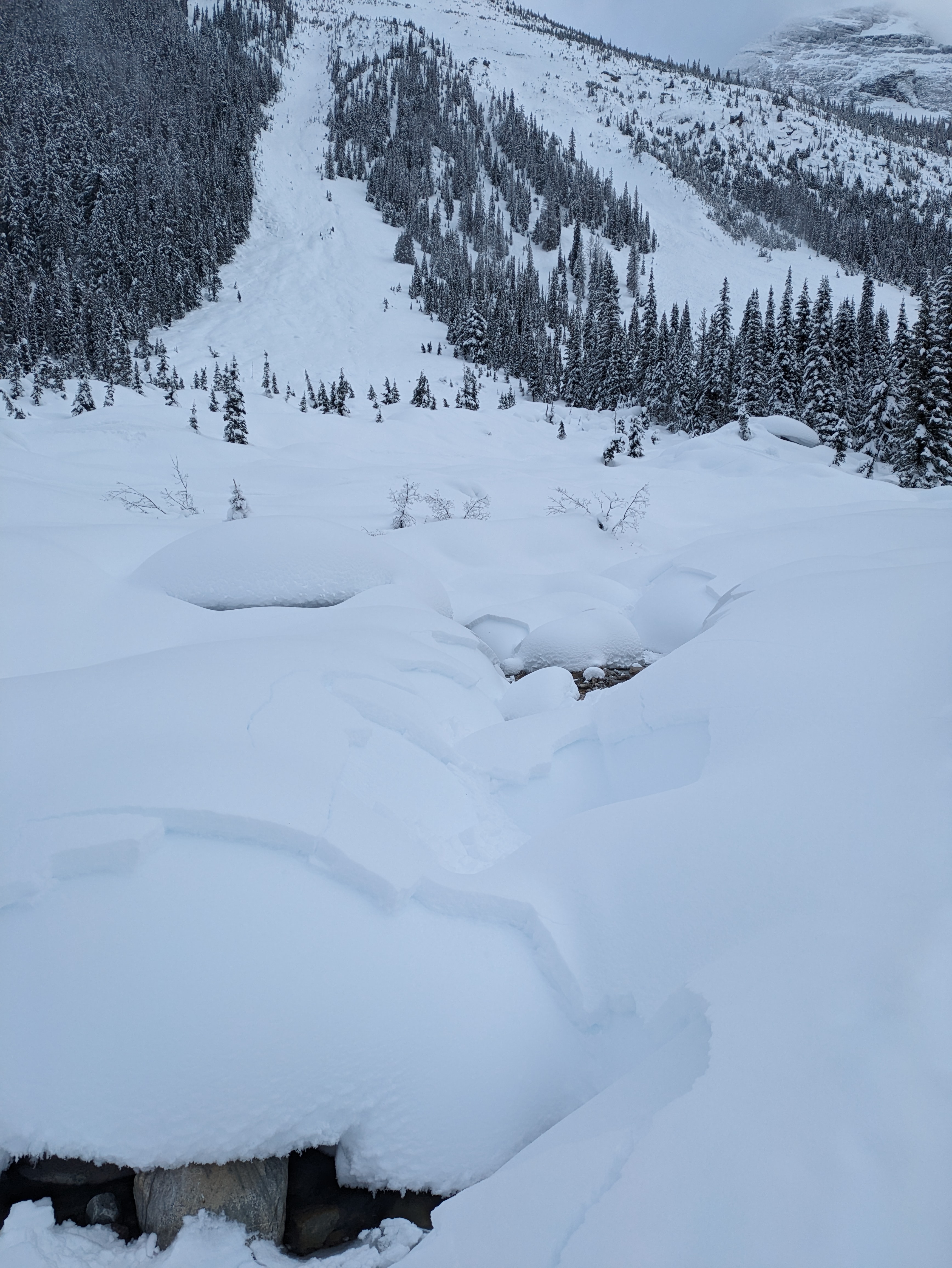 Observation photo