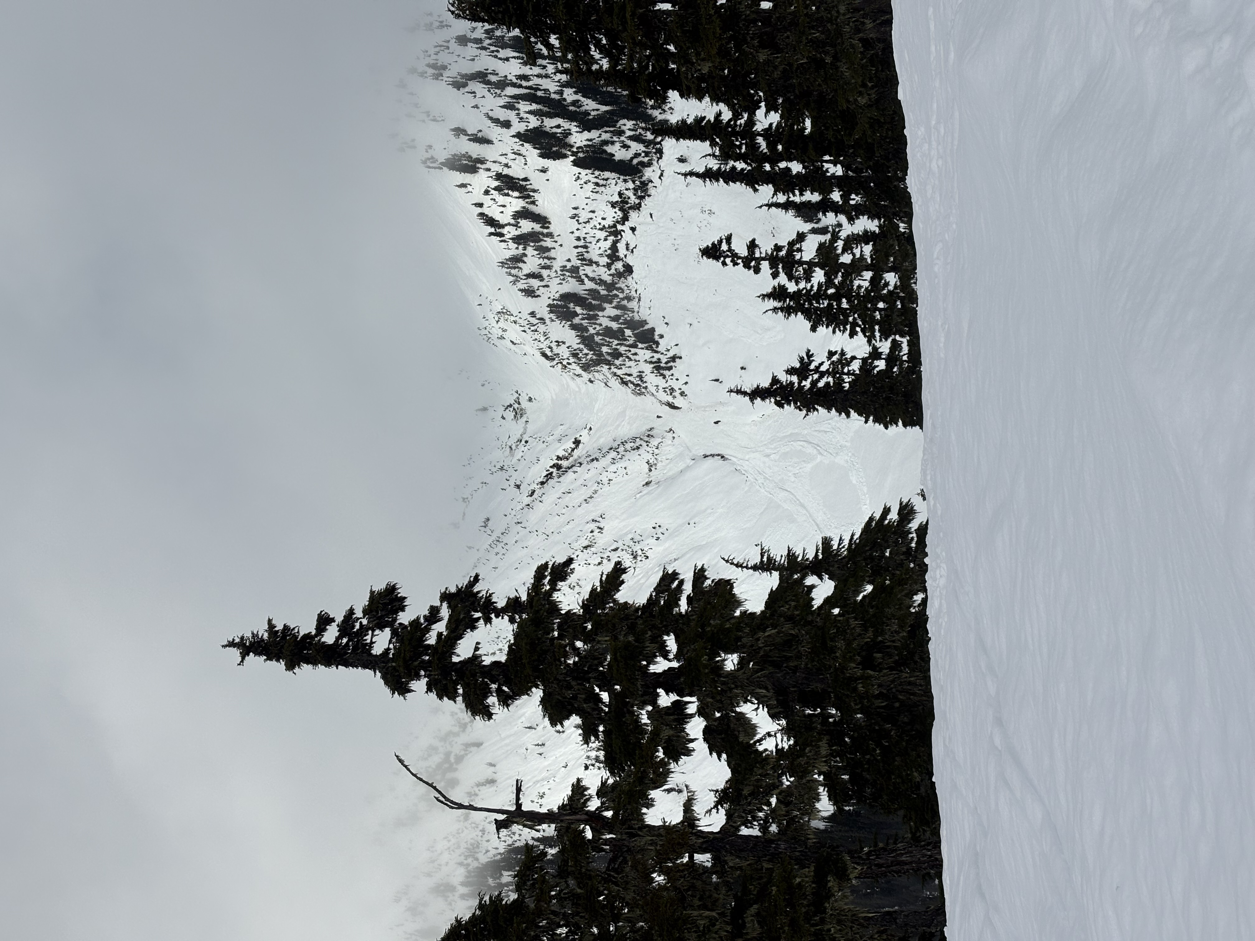 Observation photo