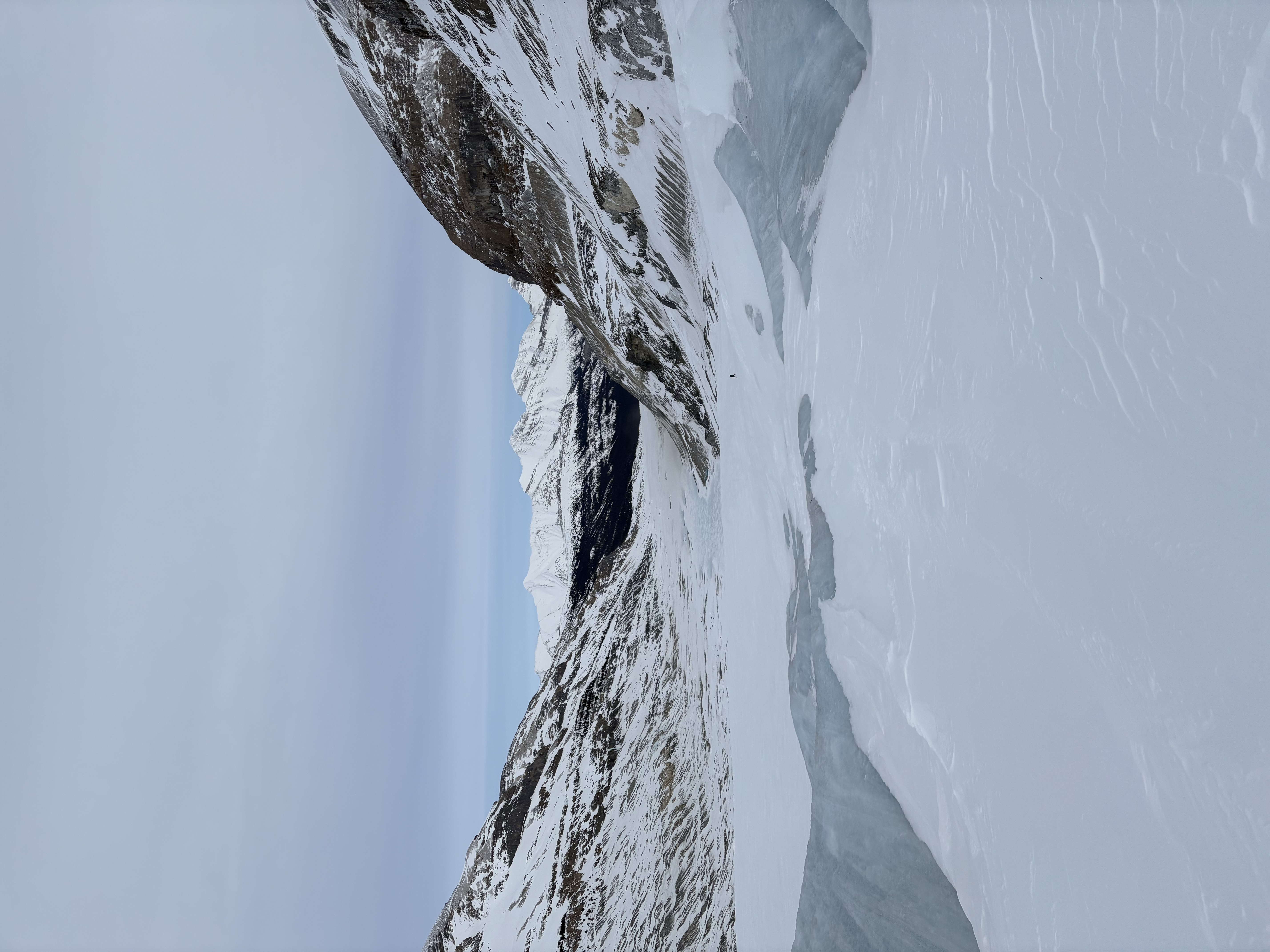 Observation photo