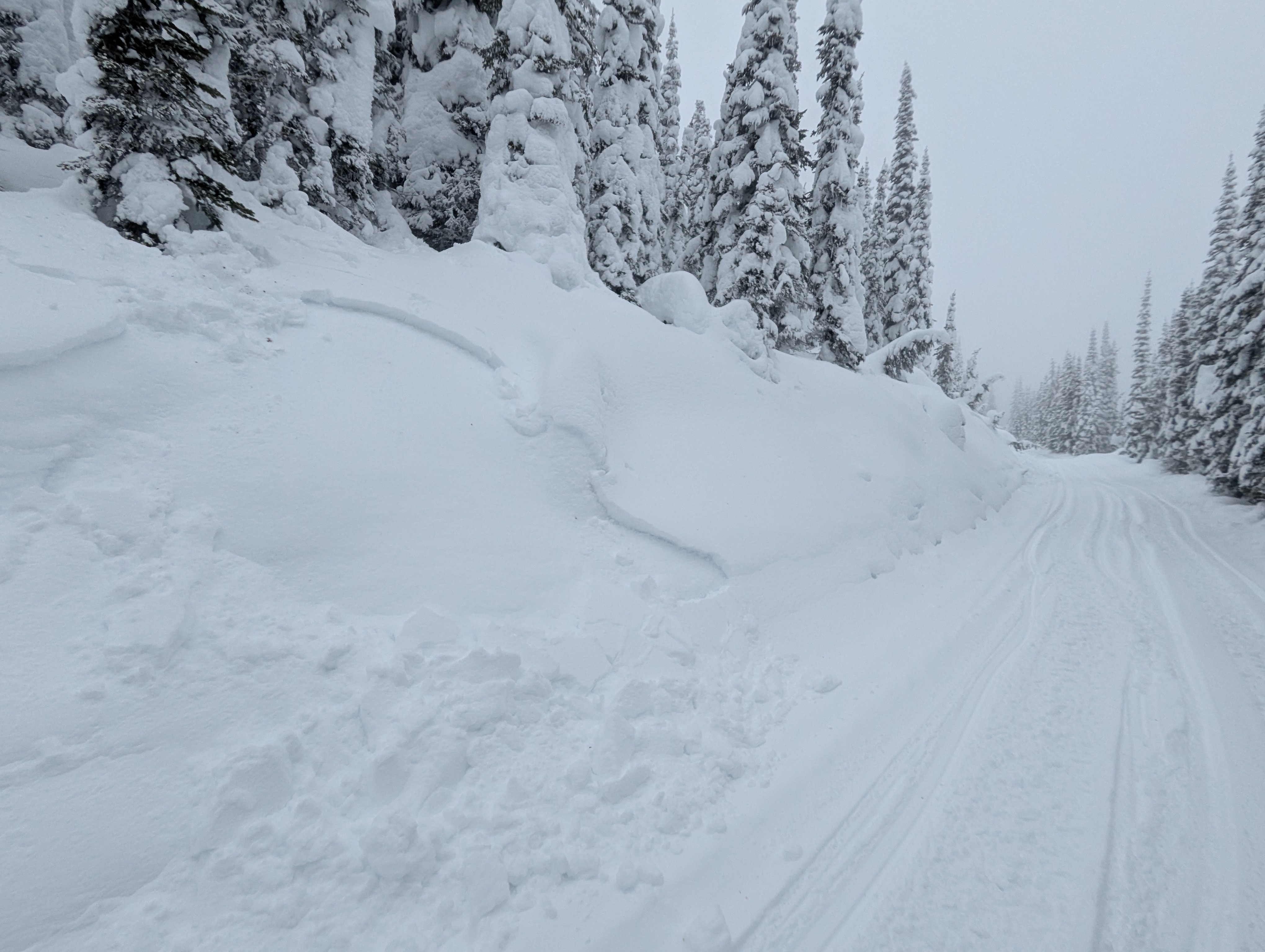 Observation photo