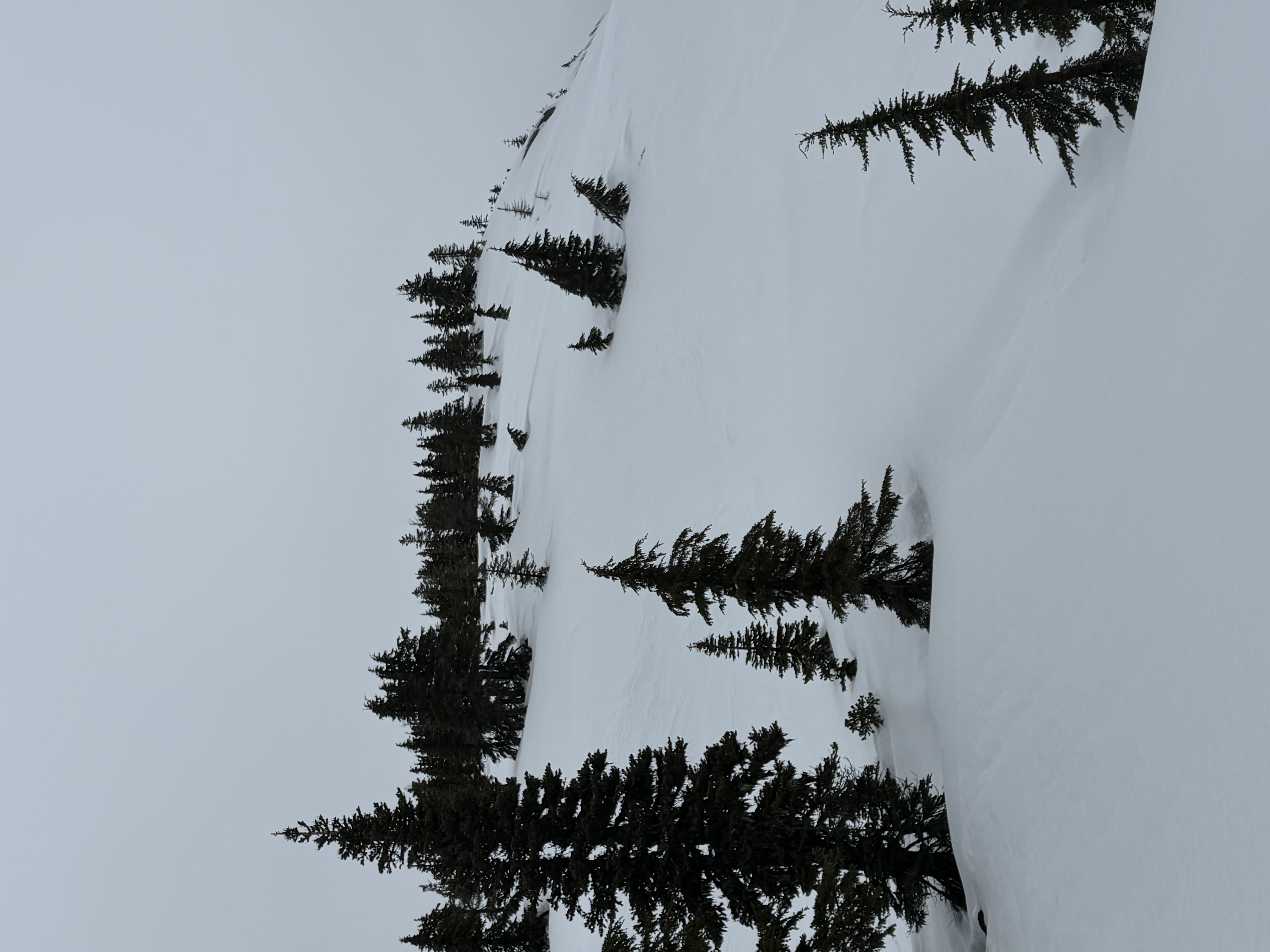 Observation photo