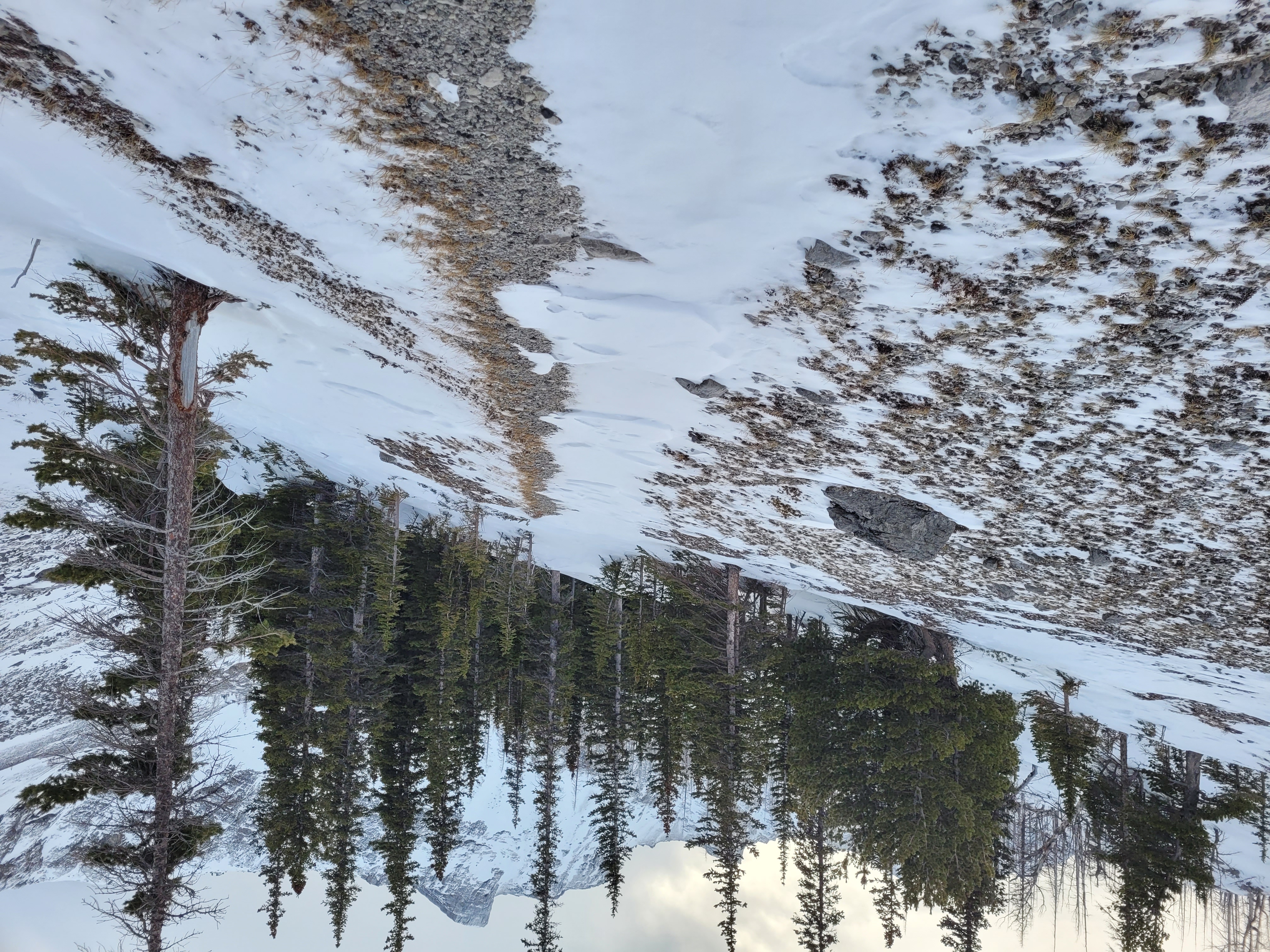 Observation photo