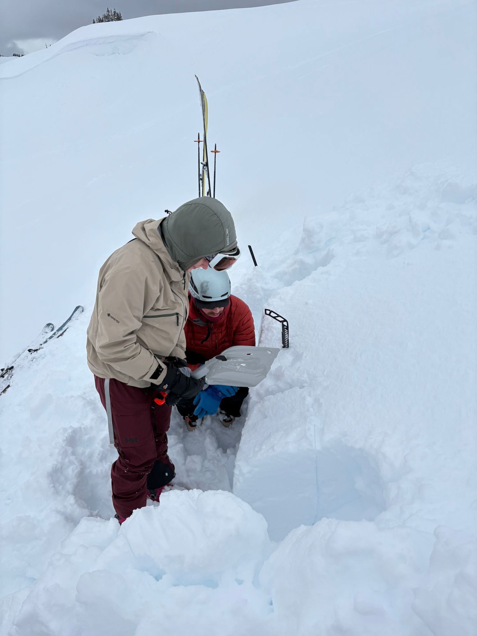 Observation photo