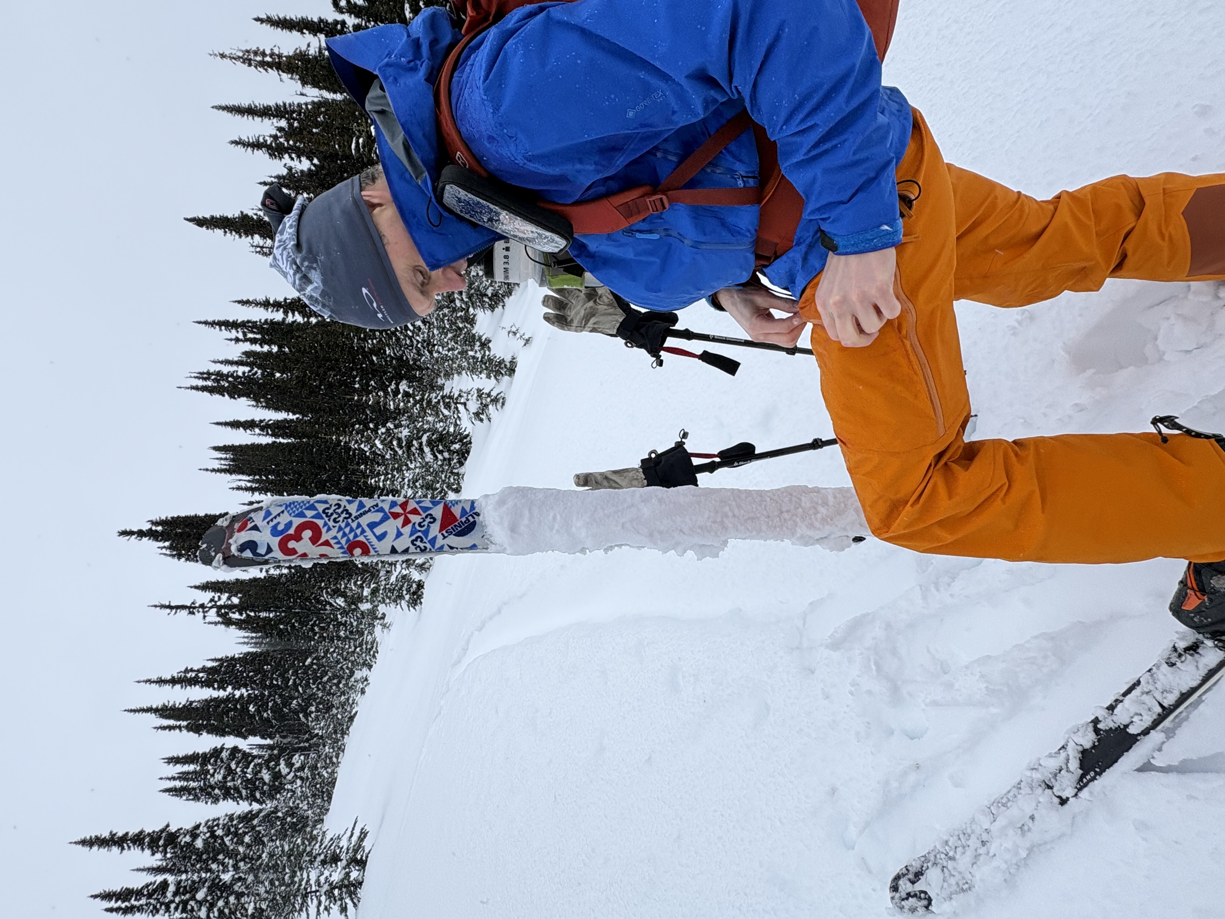 Observation photo