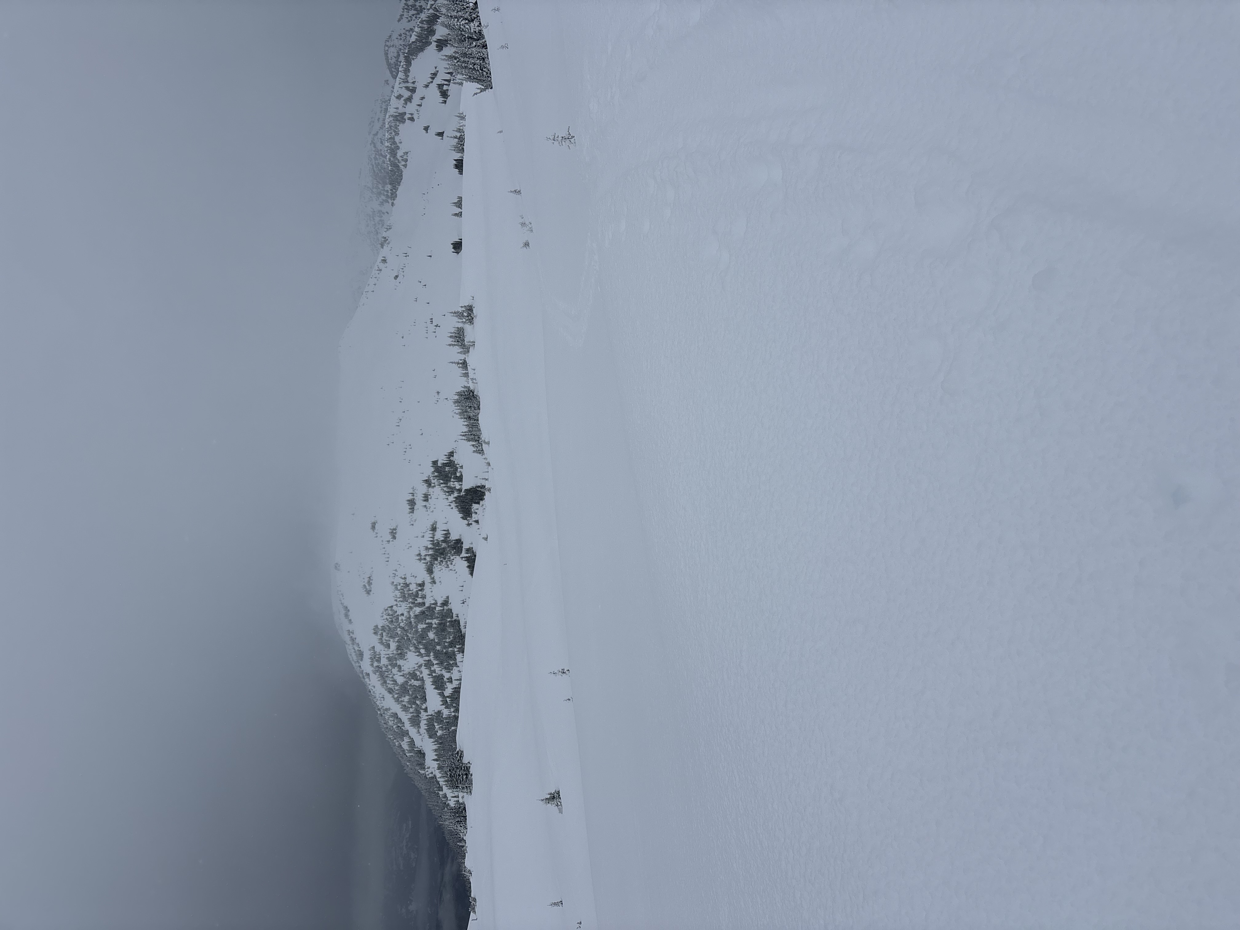 Observation photo
