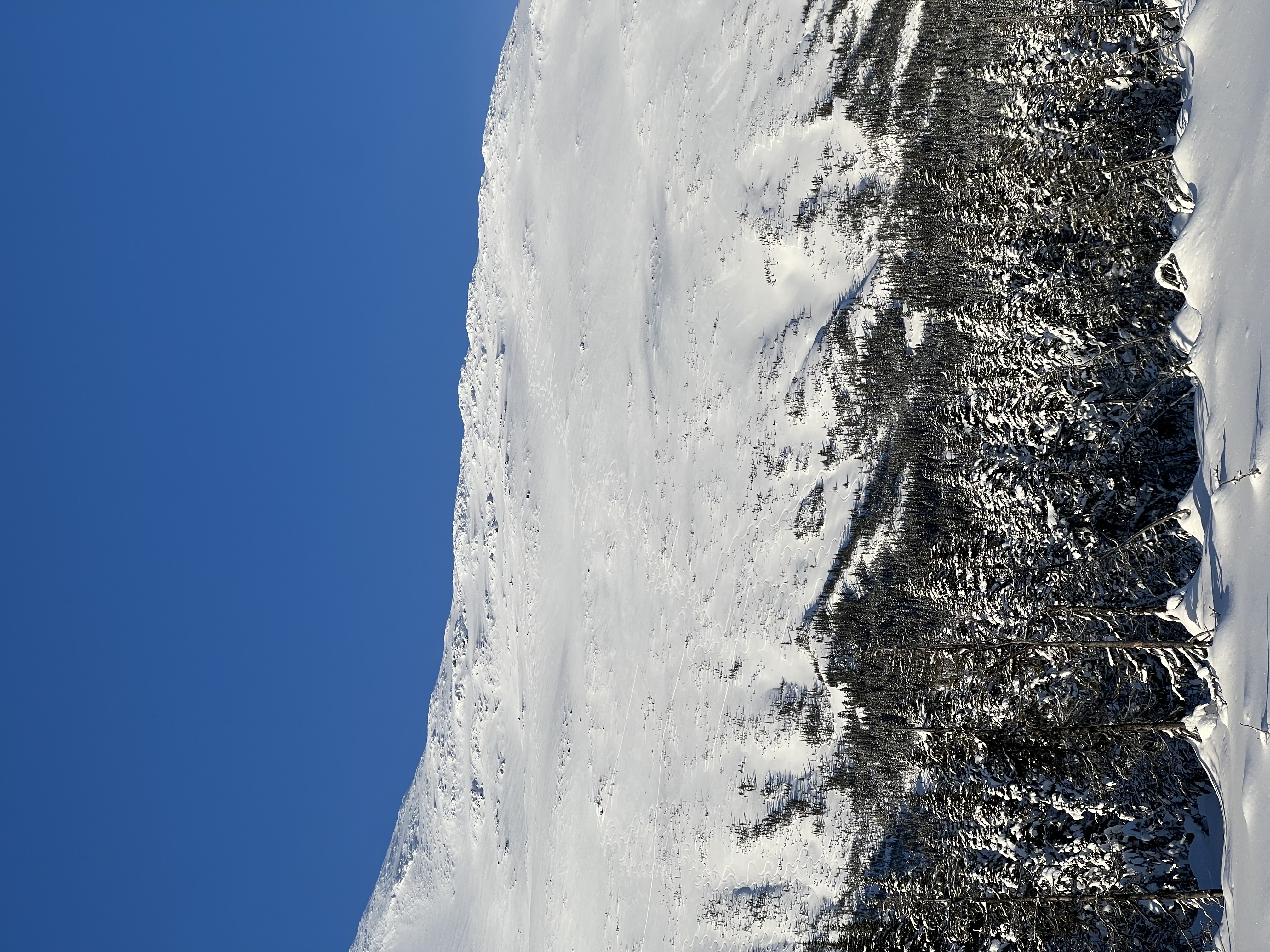 Observation photo