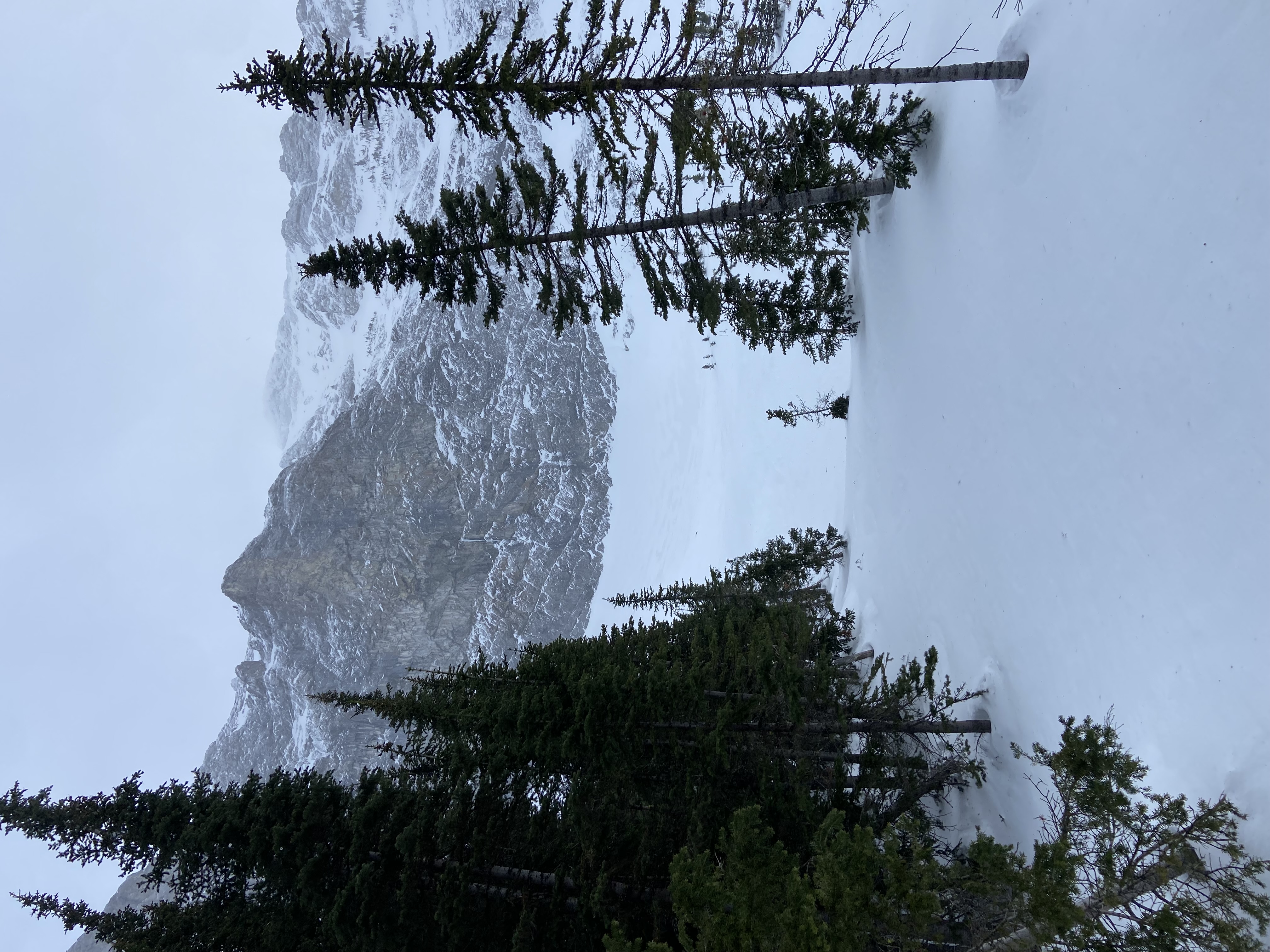 Observation photo