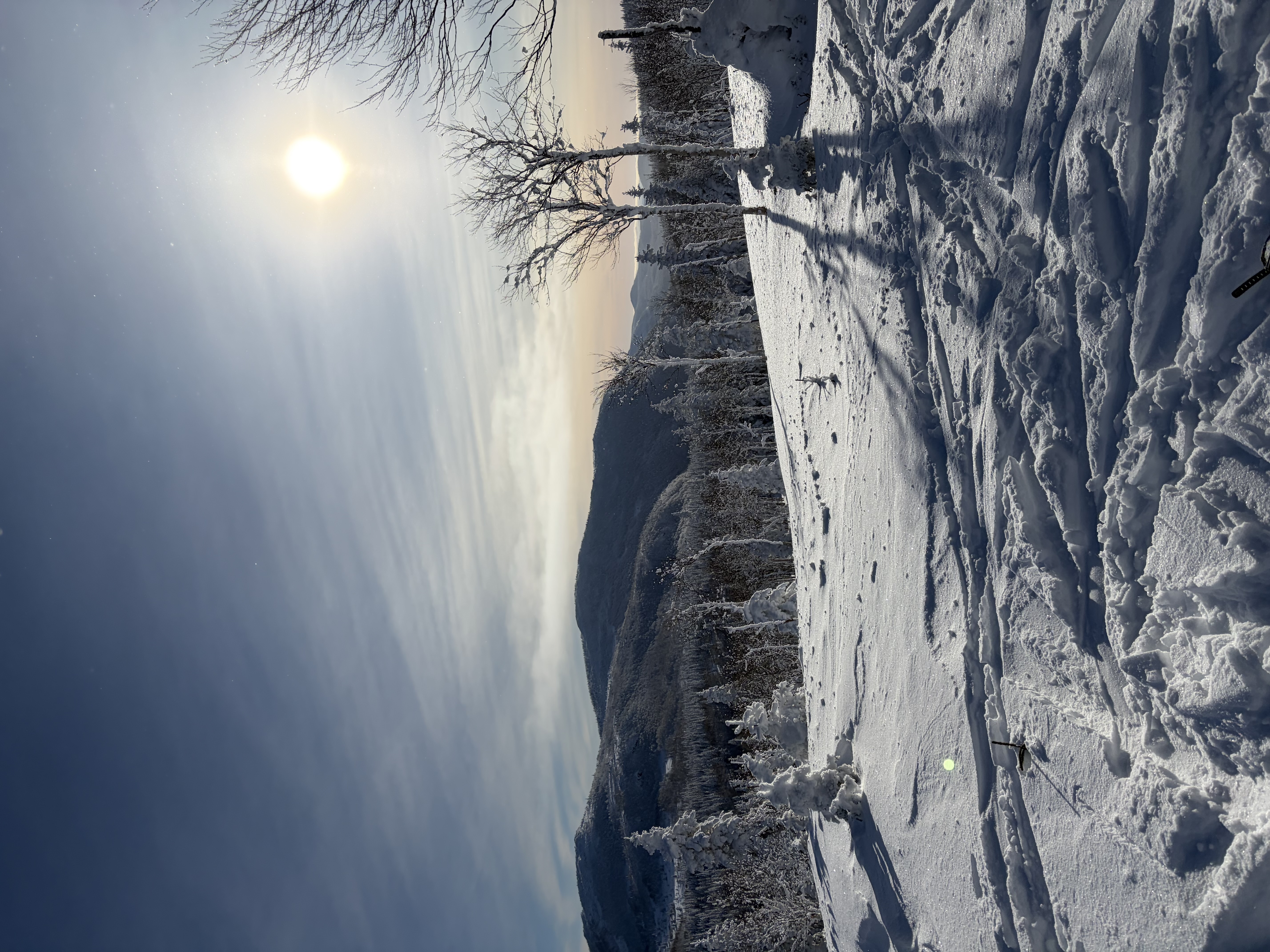 Observation photo