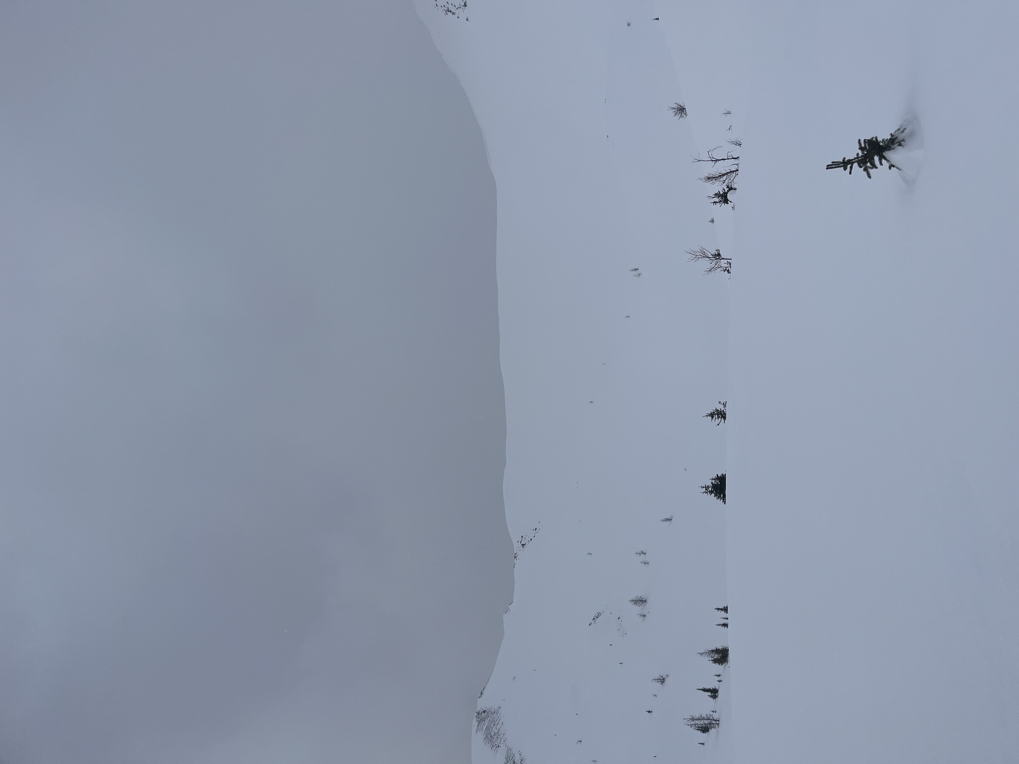 Observation photo