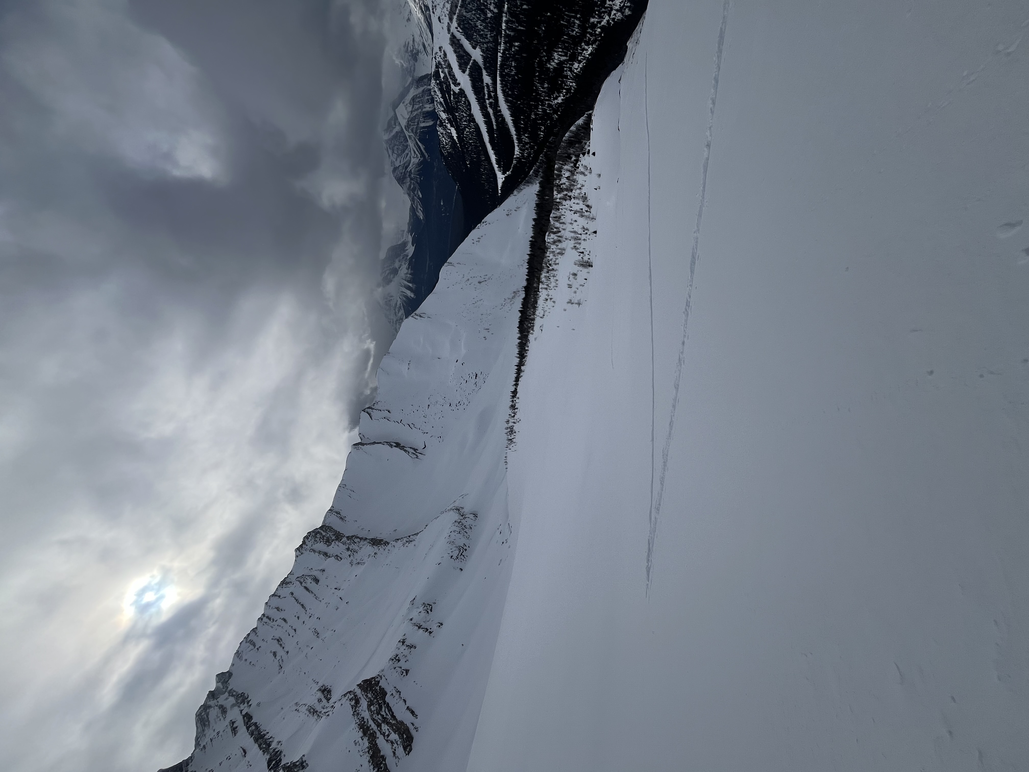 Observation photo