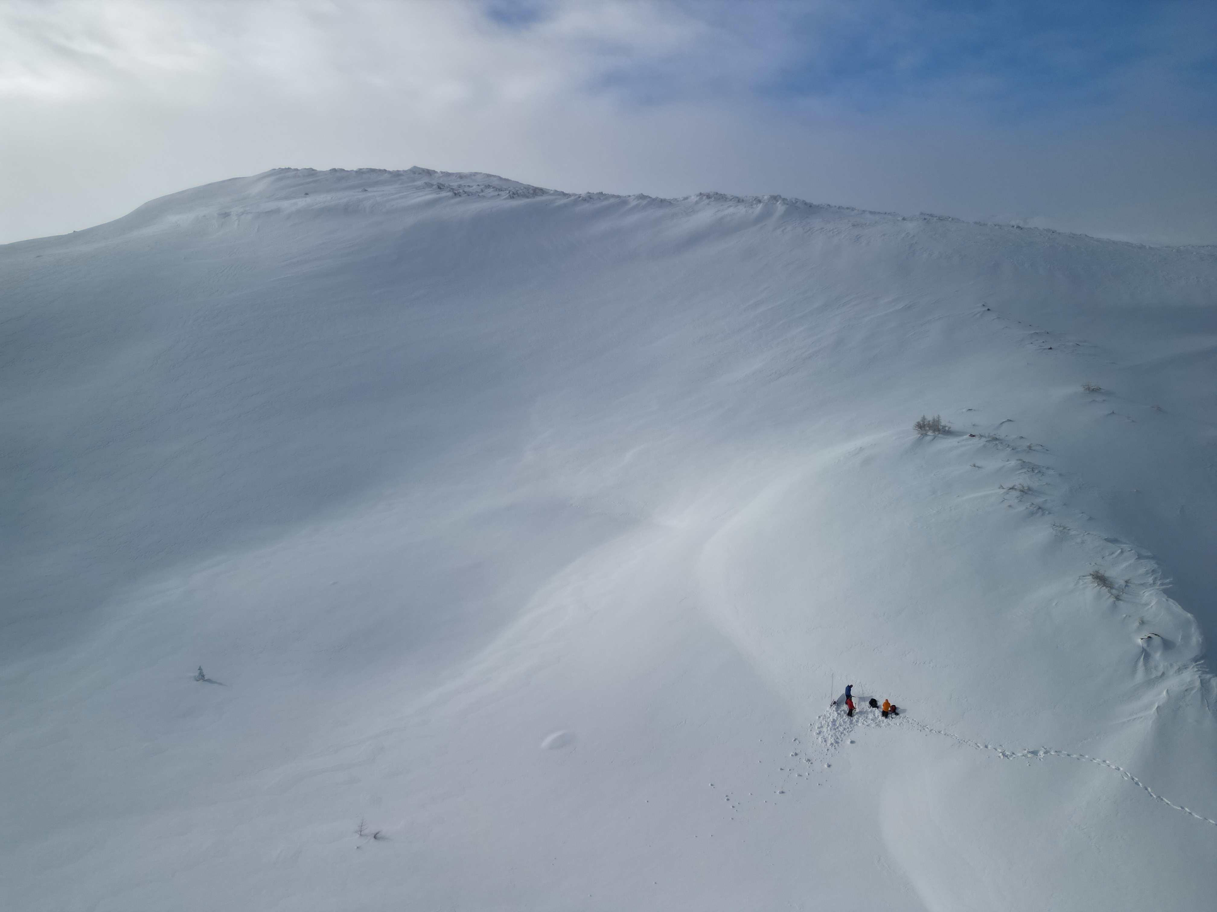 Observation photo
