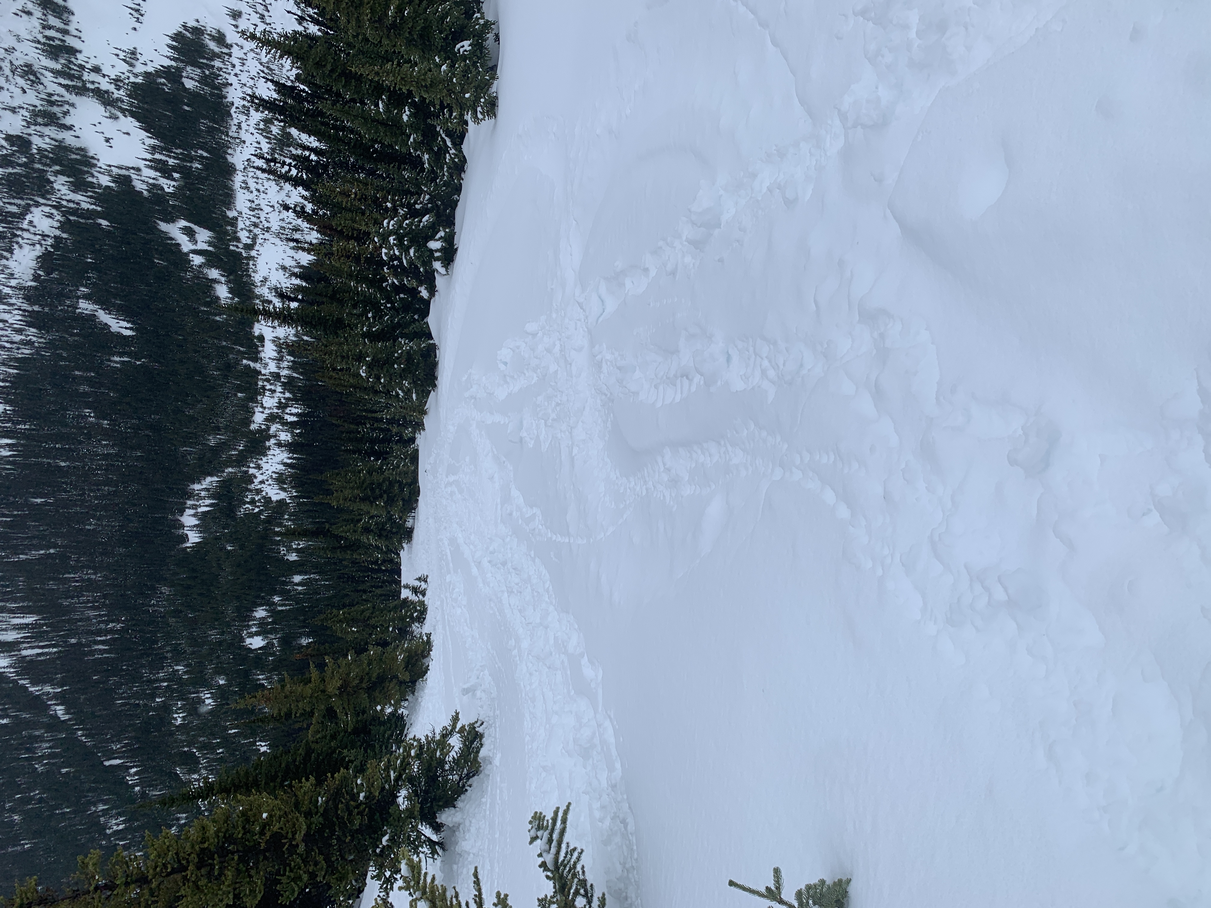 Observation photo