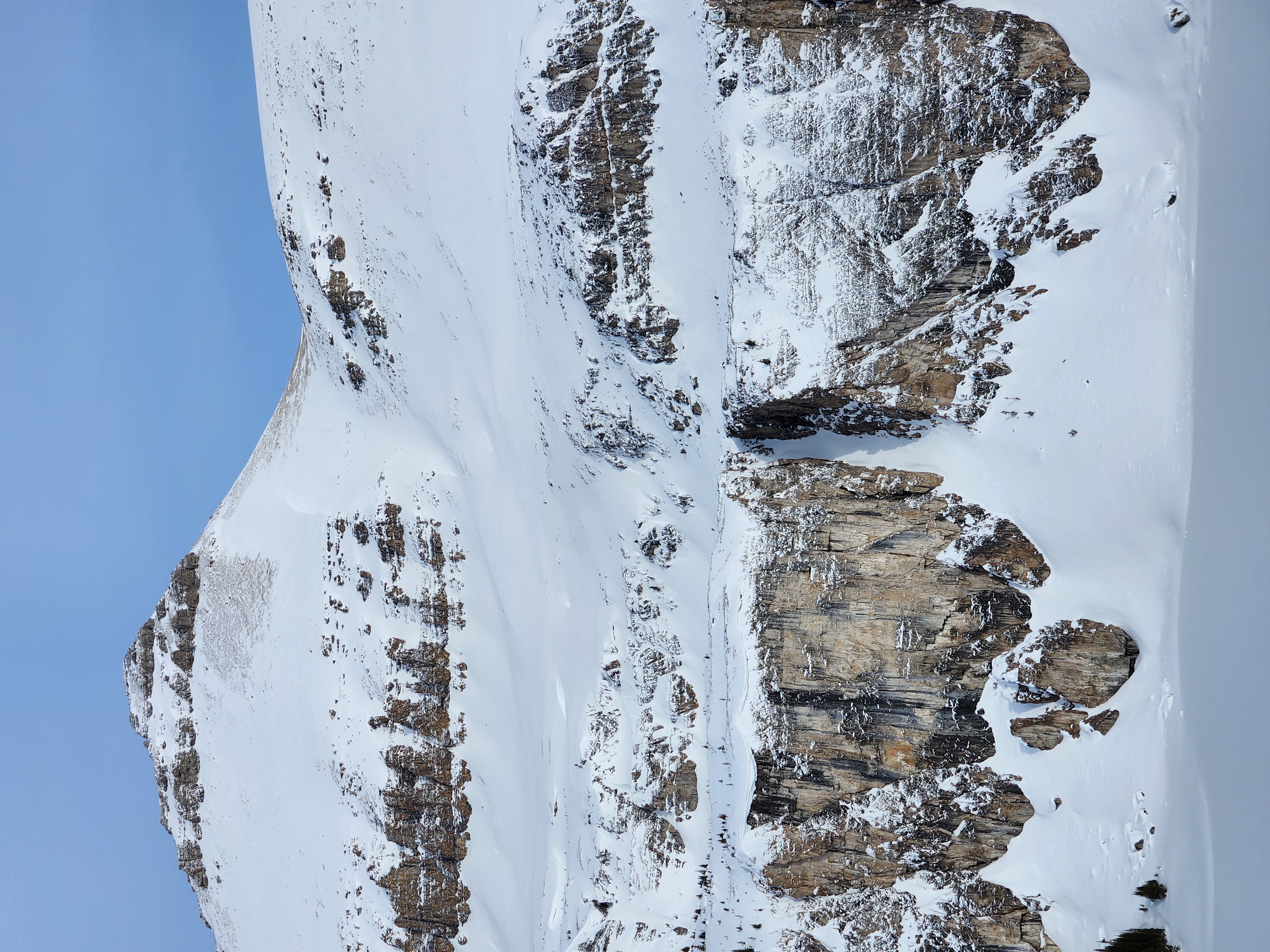 Observation photo