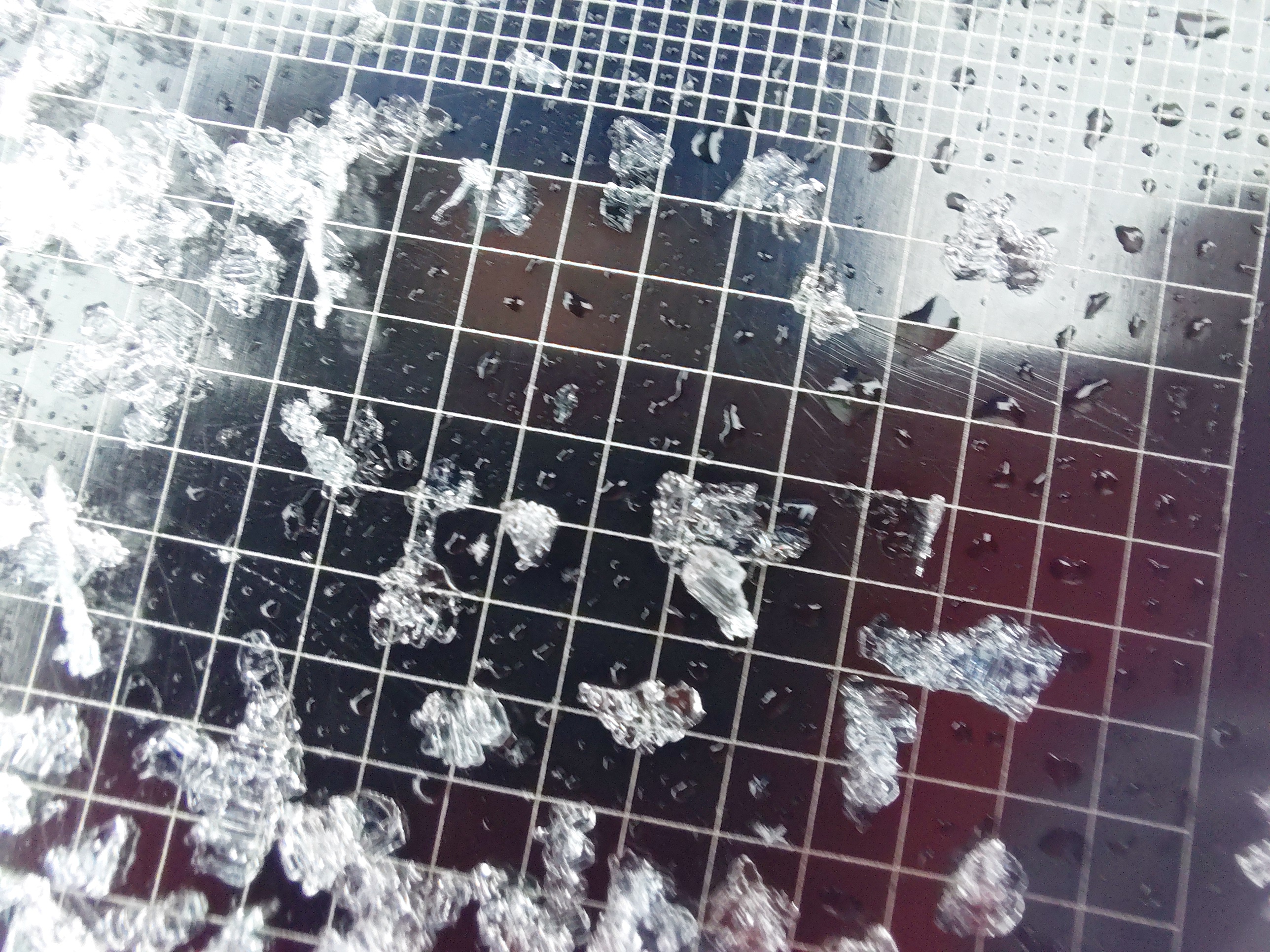 Observation photo