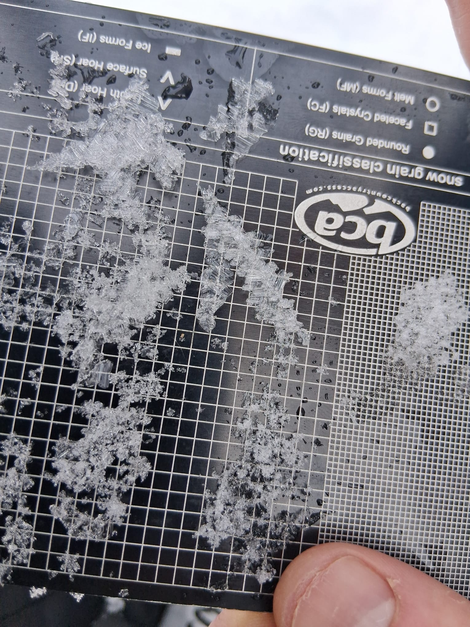Observation photo