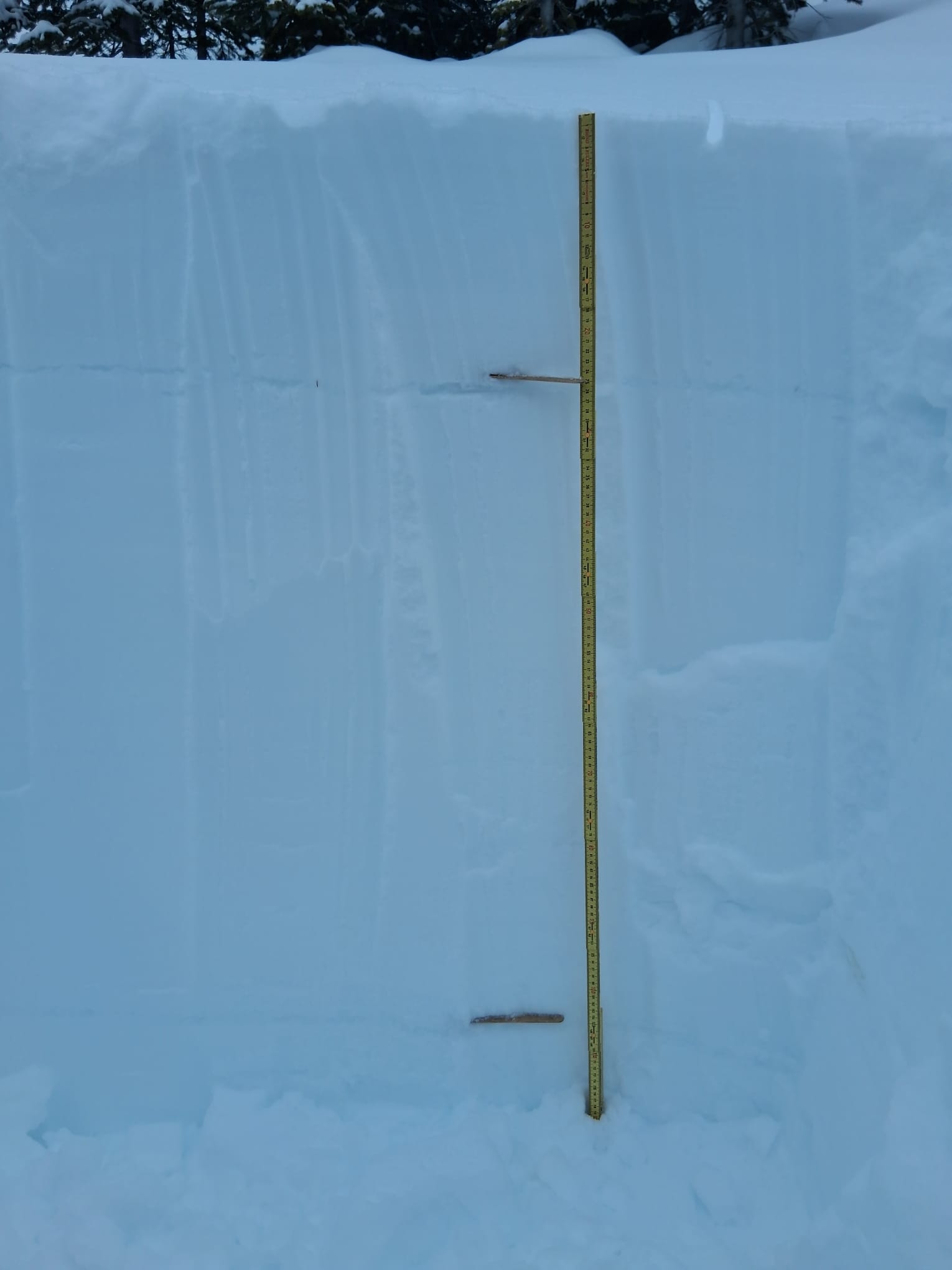Observation photo