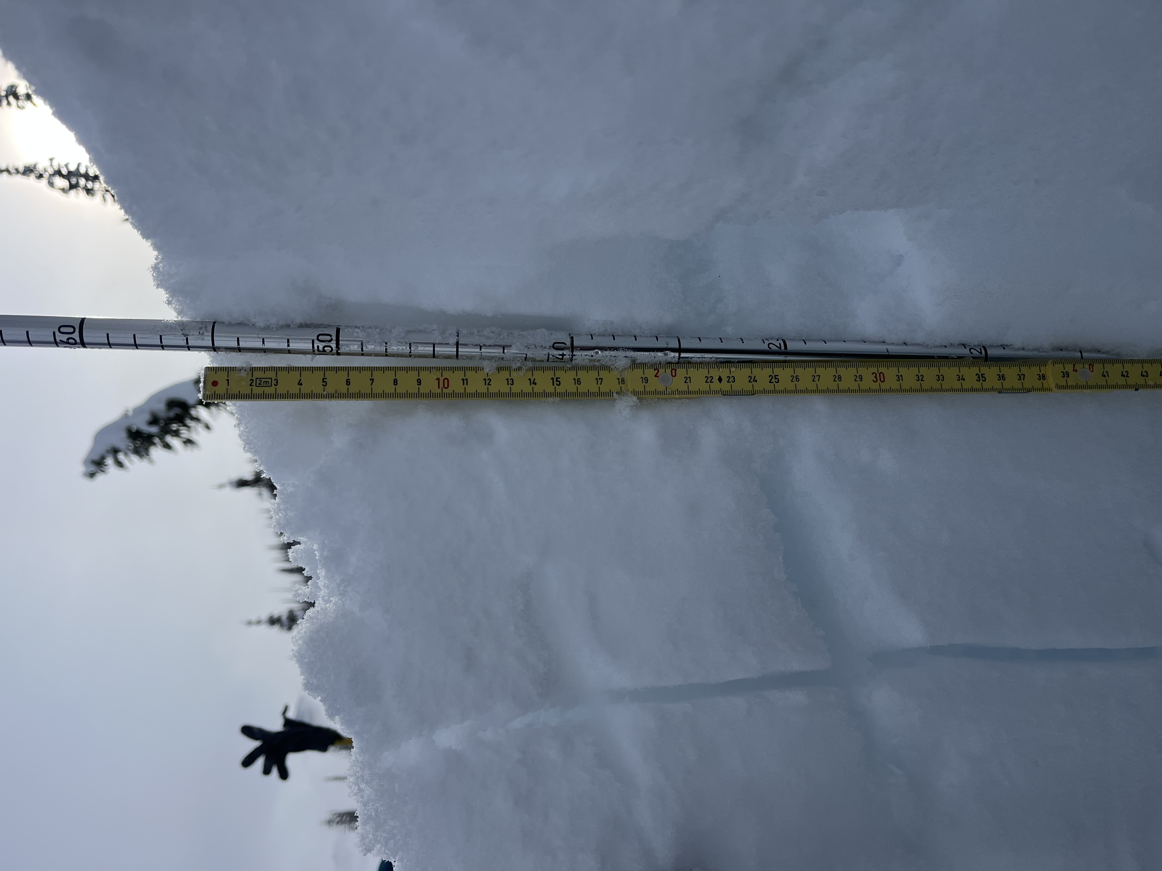 Observation photo