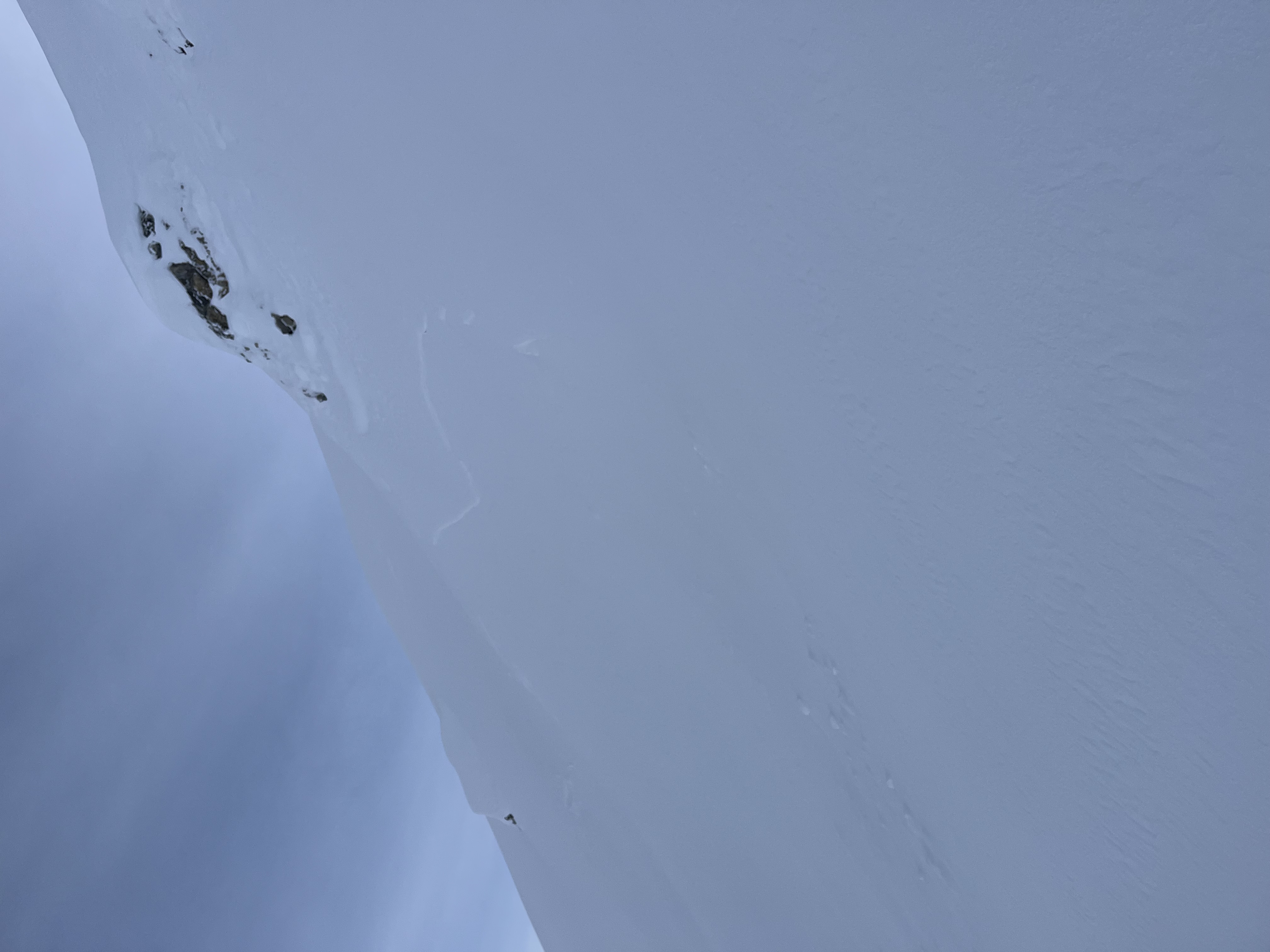 Observation photo