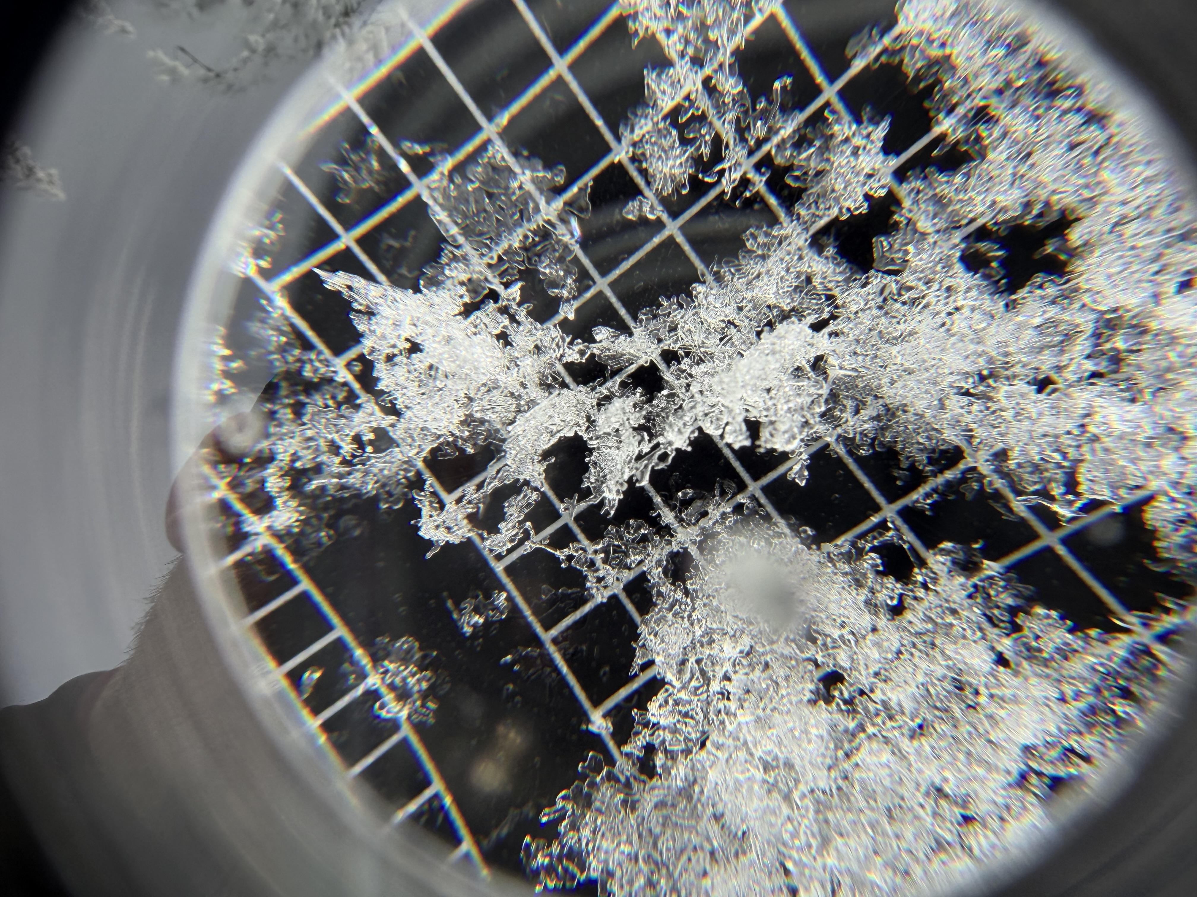 Observation photo