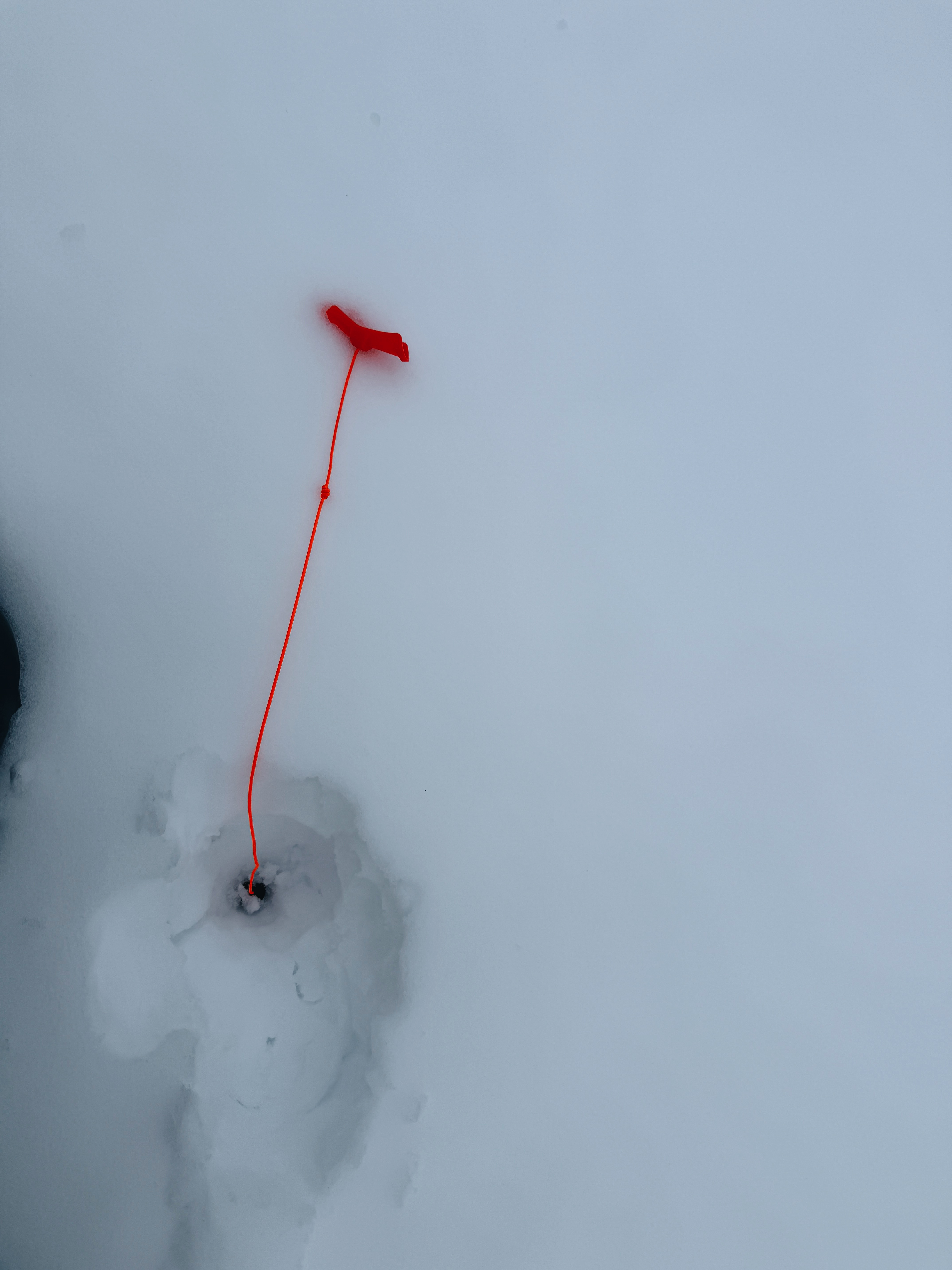 Observation photo