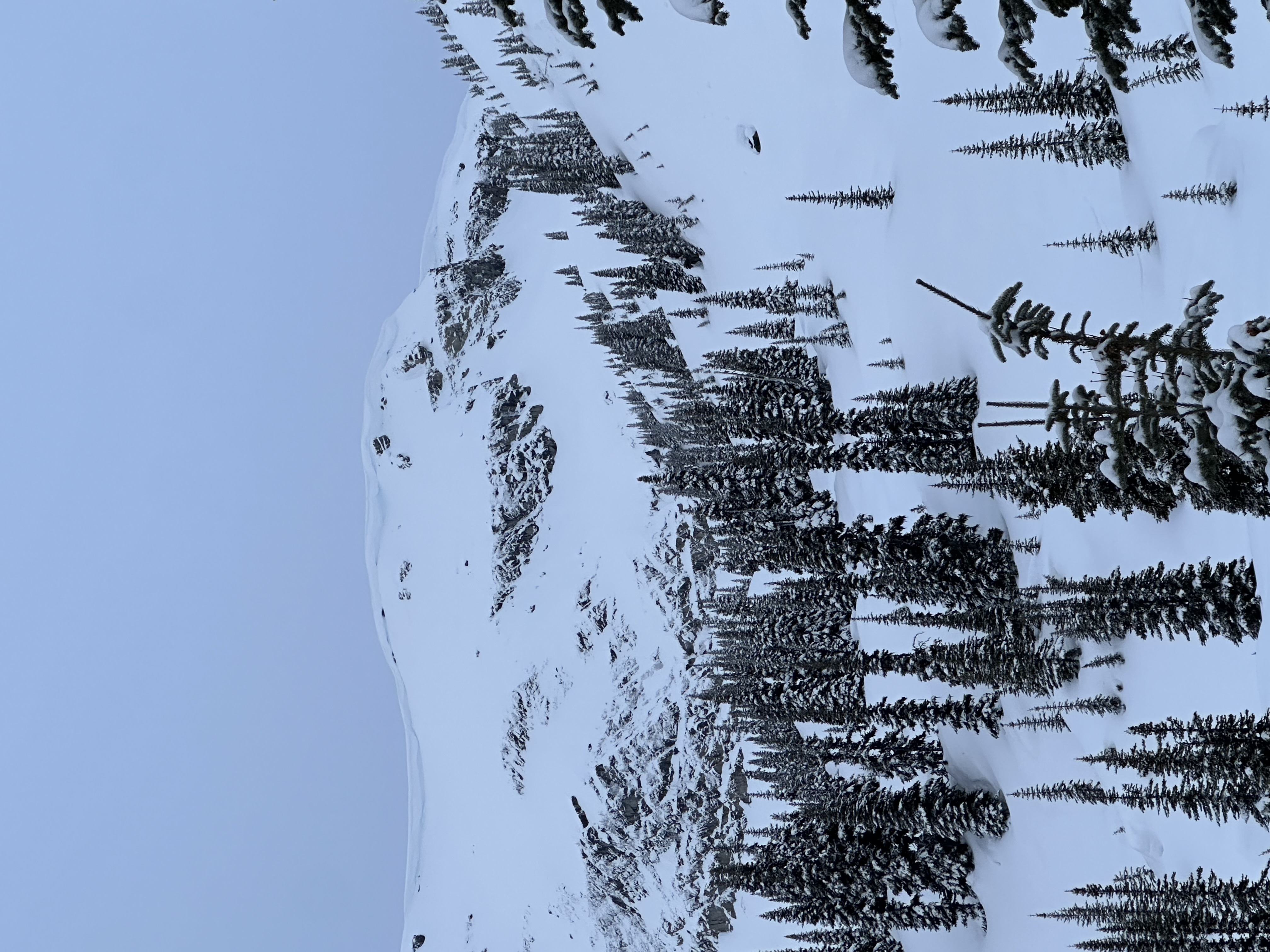 Observation photo