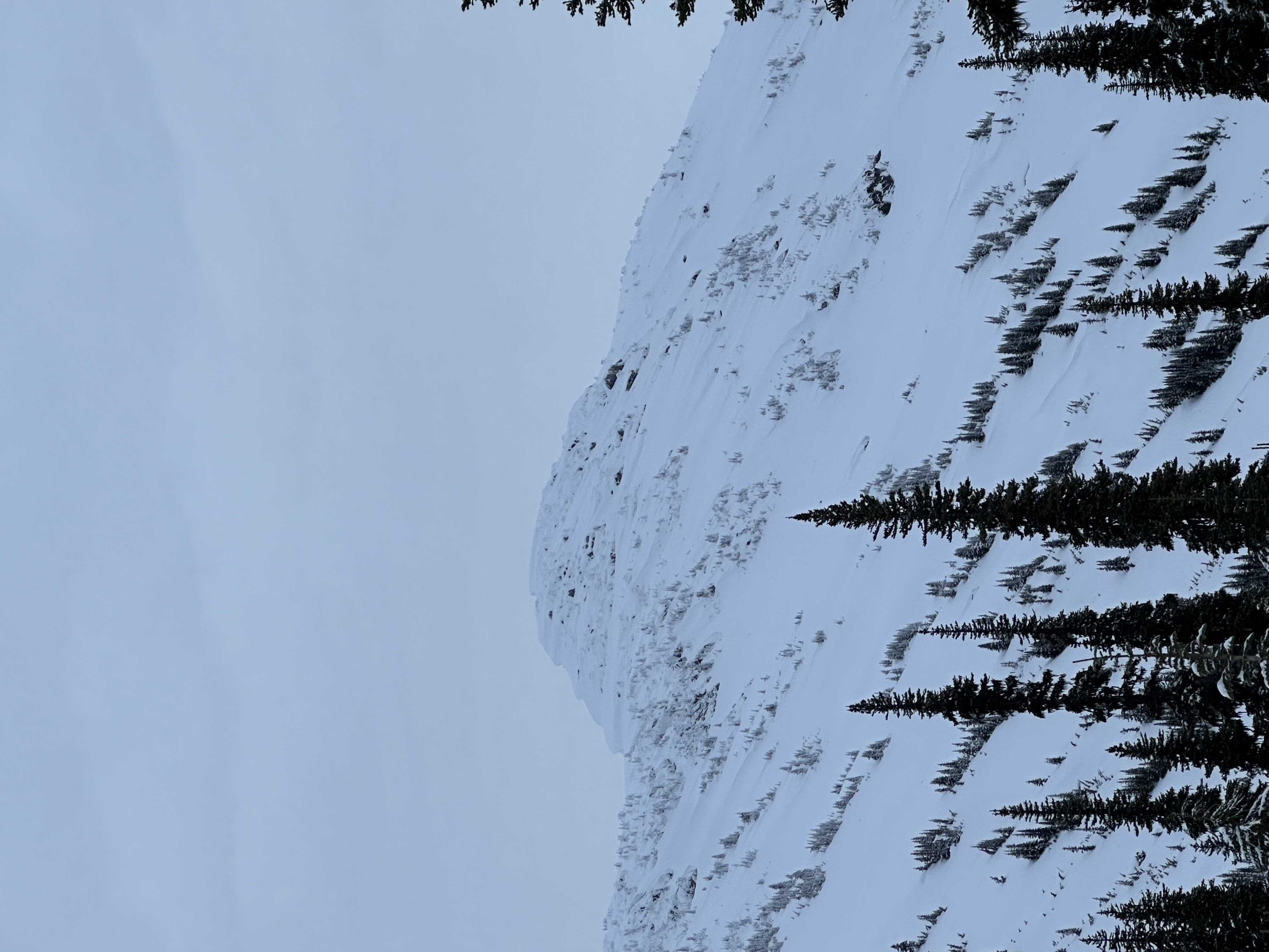 Observation photo