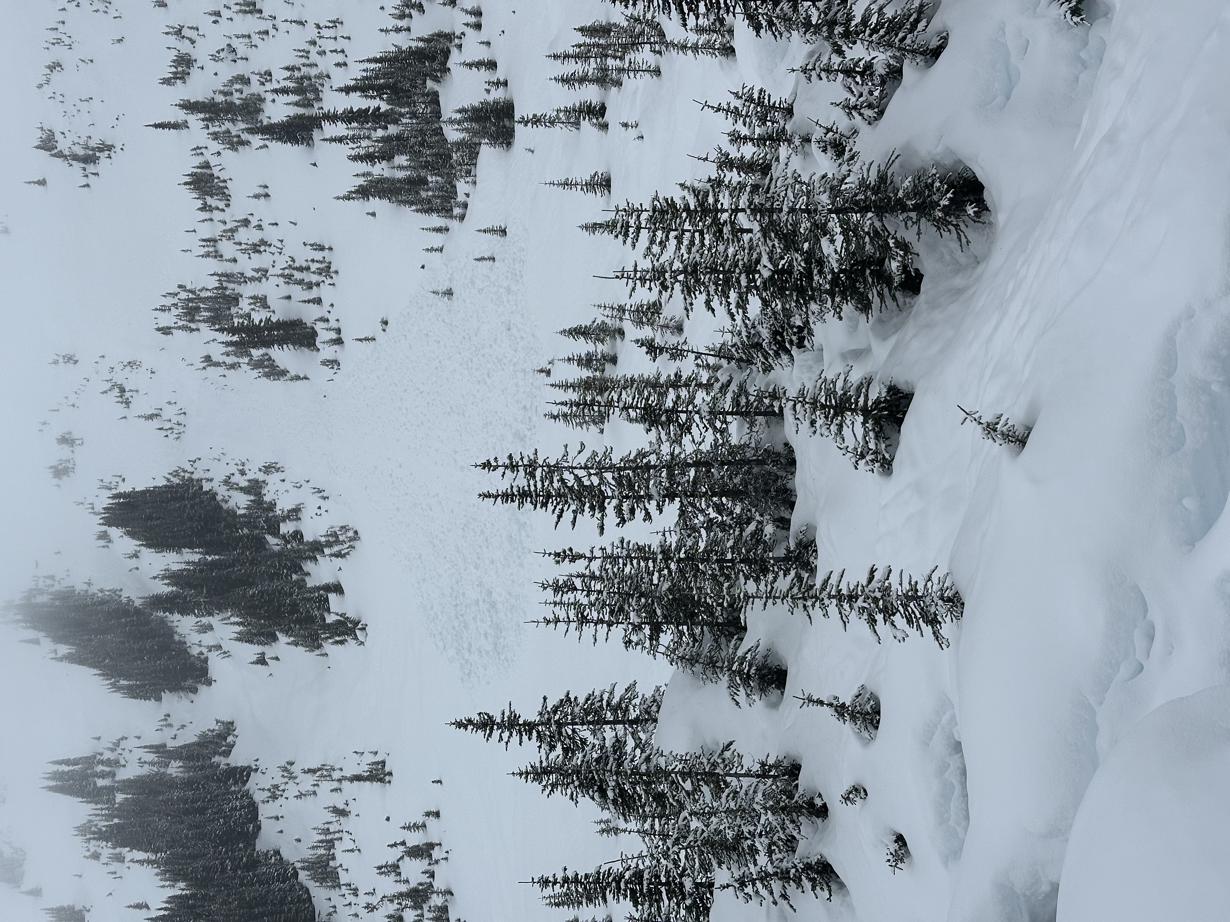 Observation photo