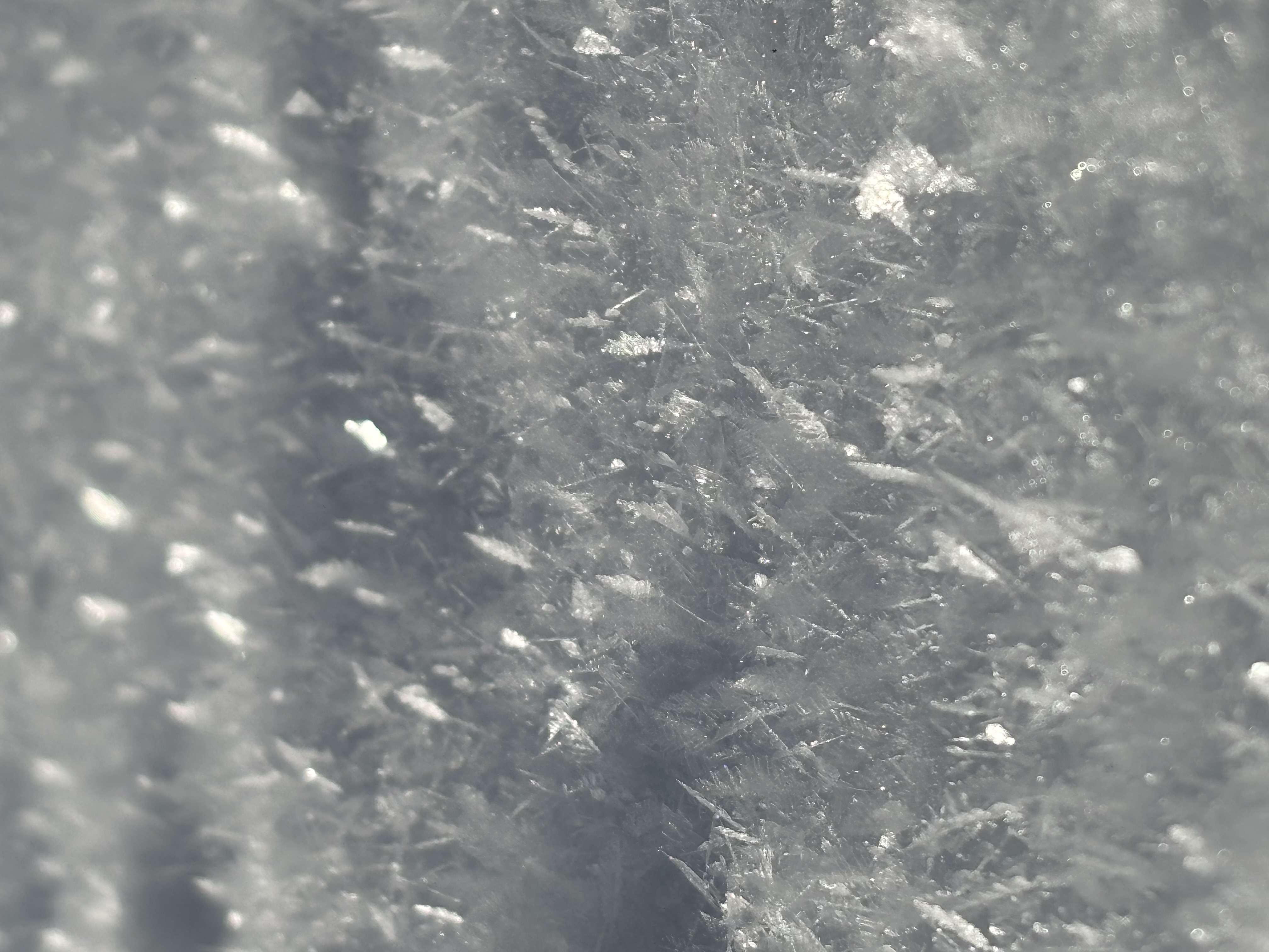 Observation photo