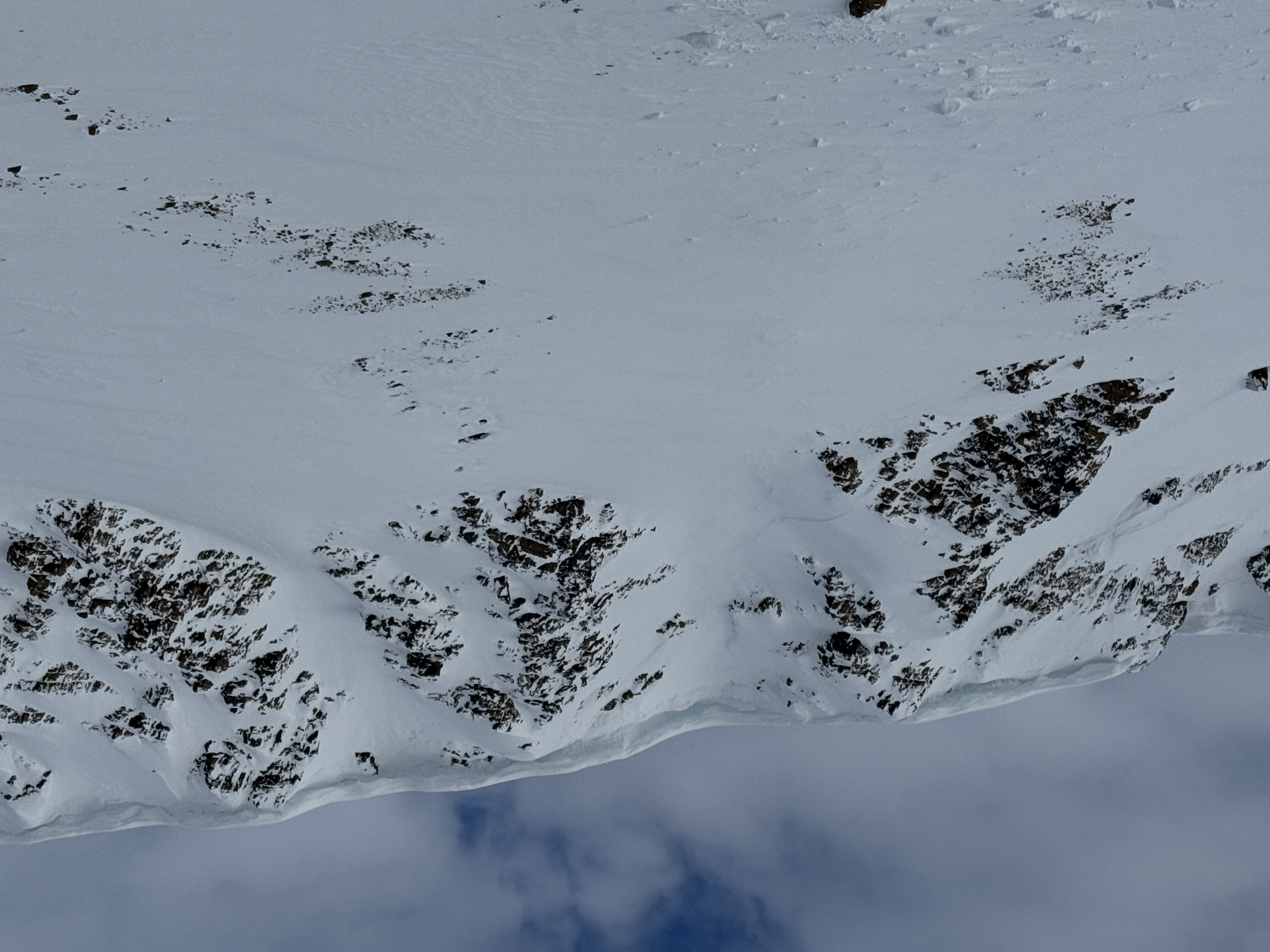 Observation photo
