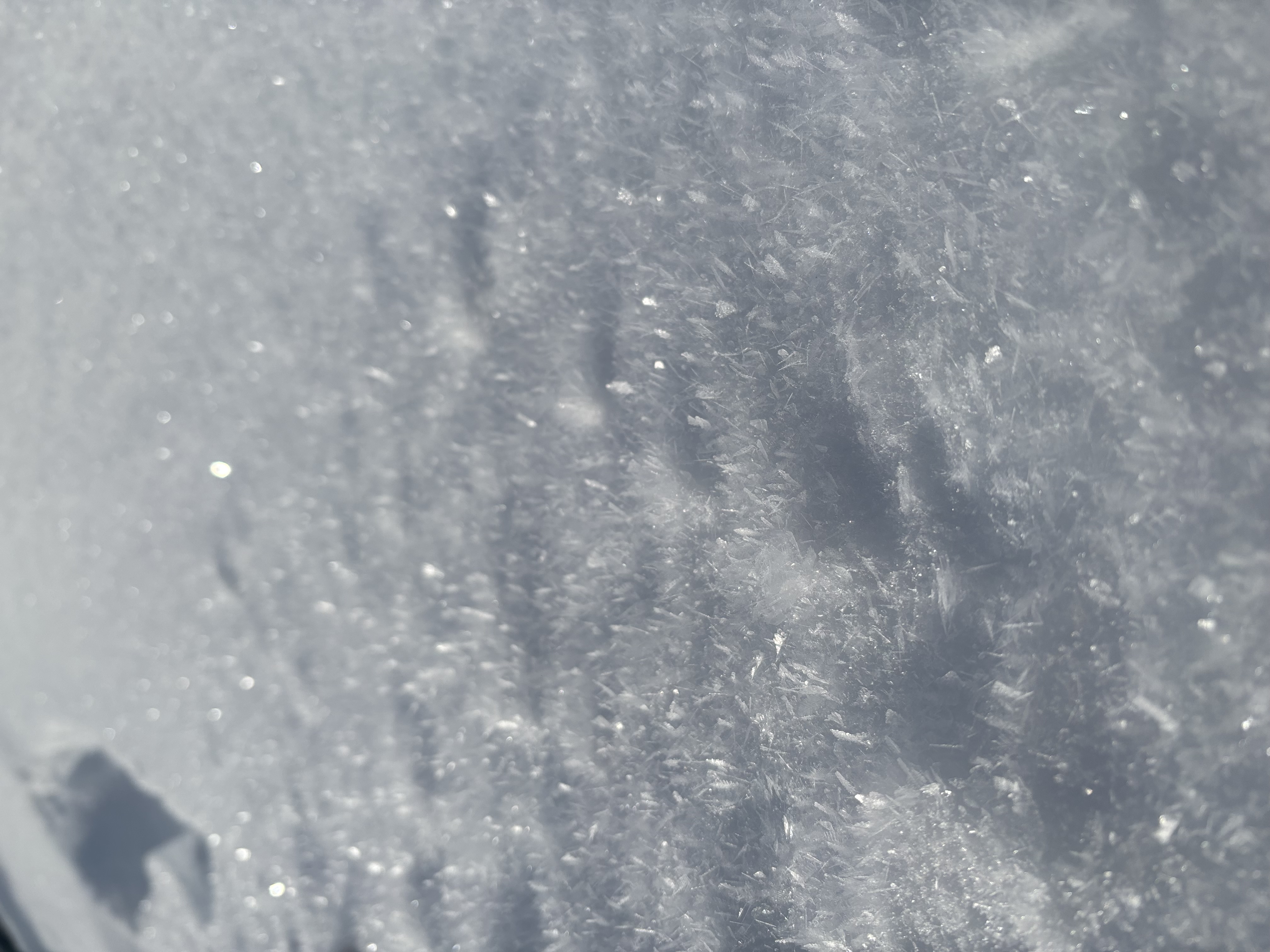 Observation photo