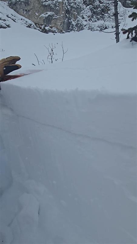 Observation photo