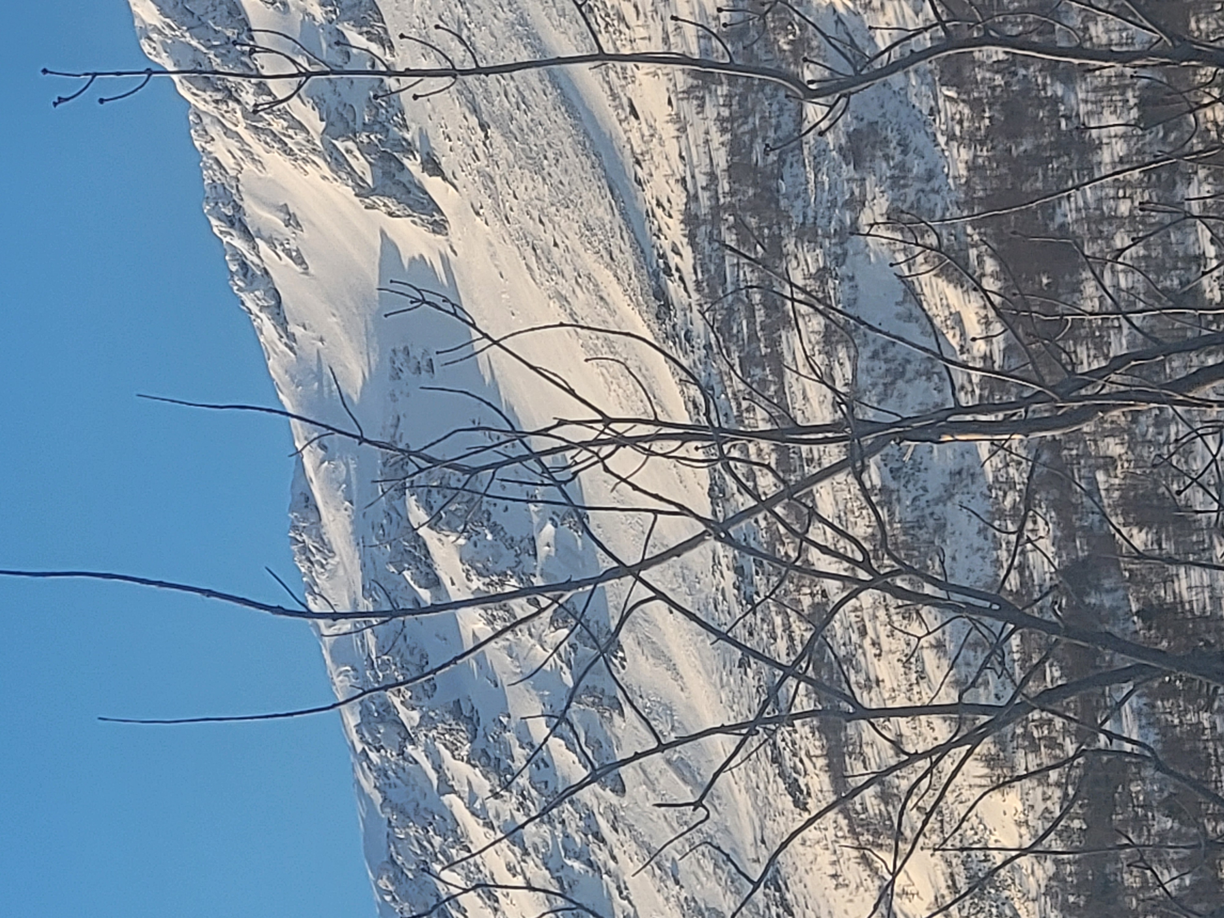 Observation photo