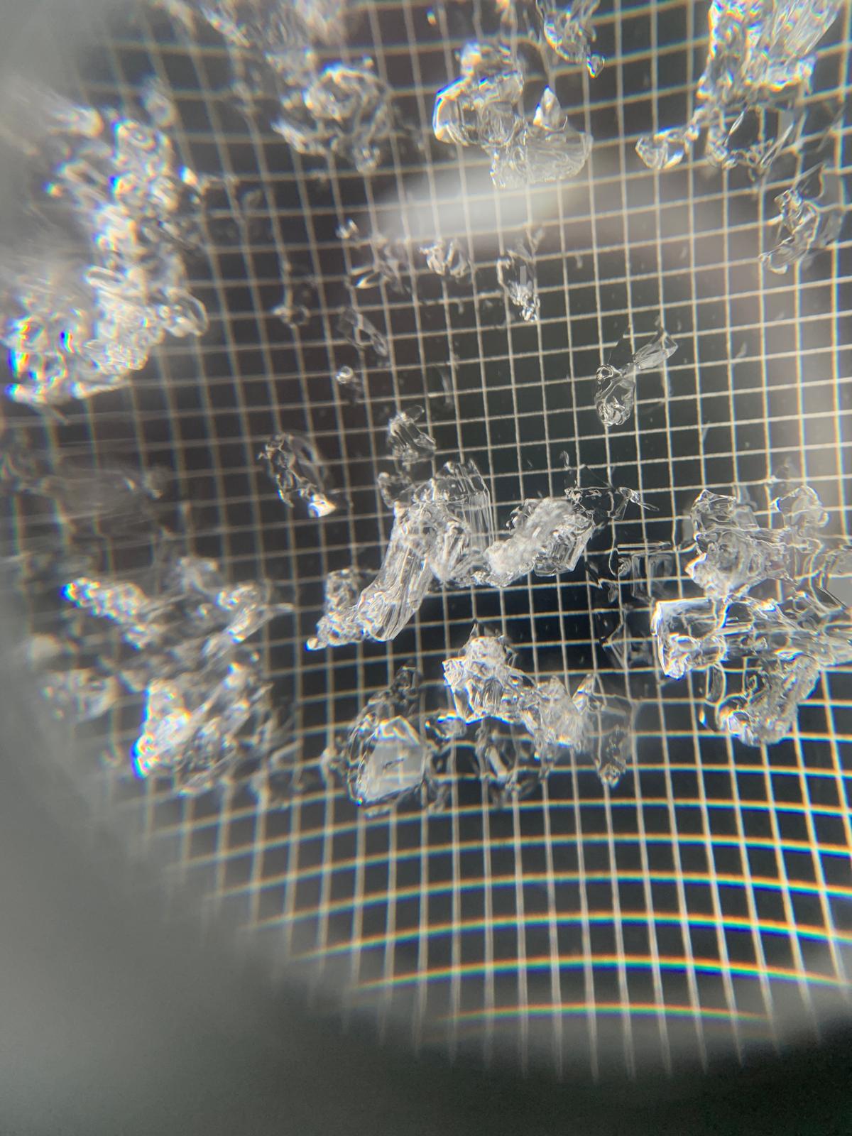 Observation photo