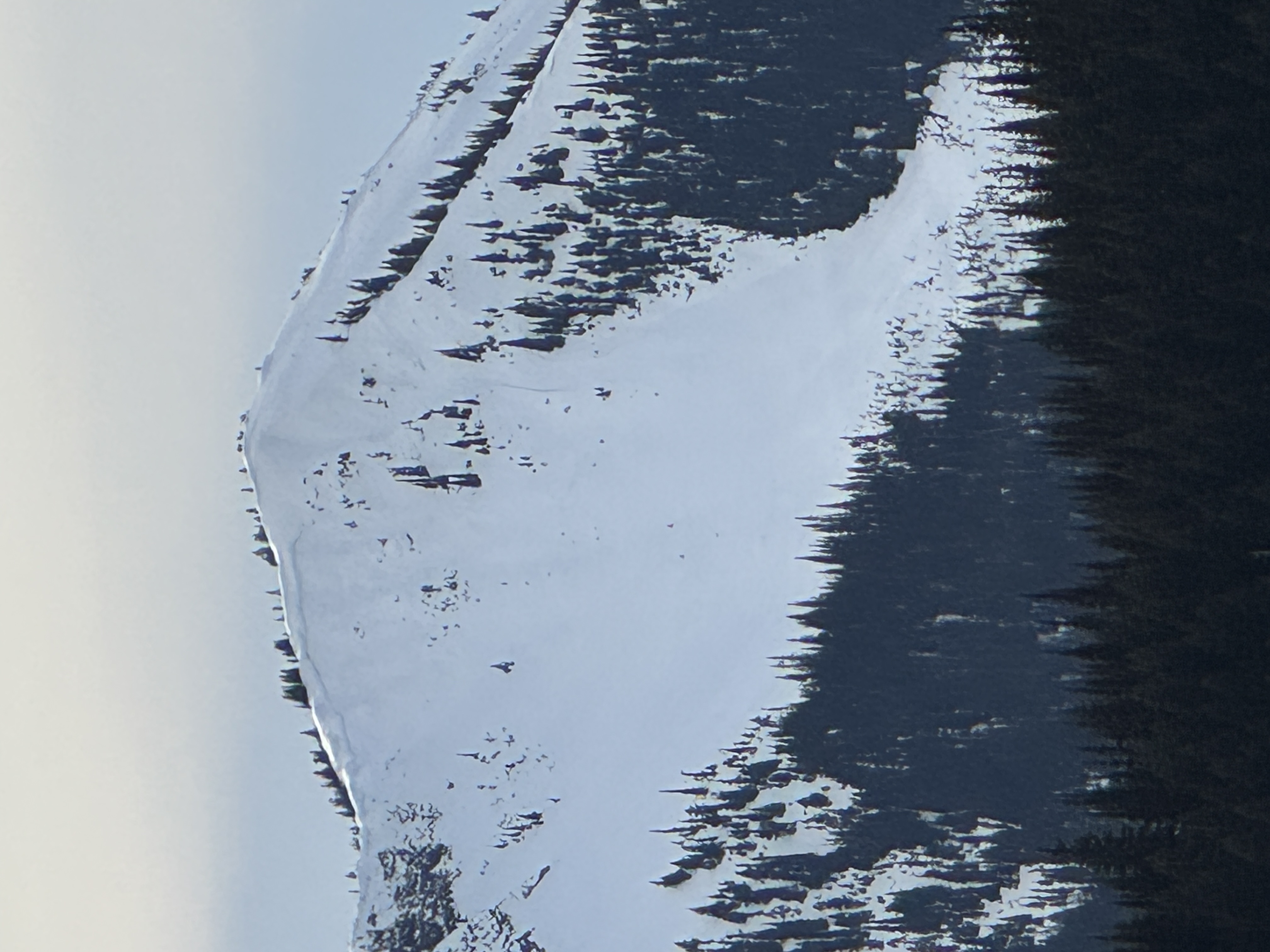 Observation photo