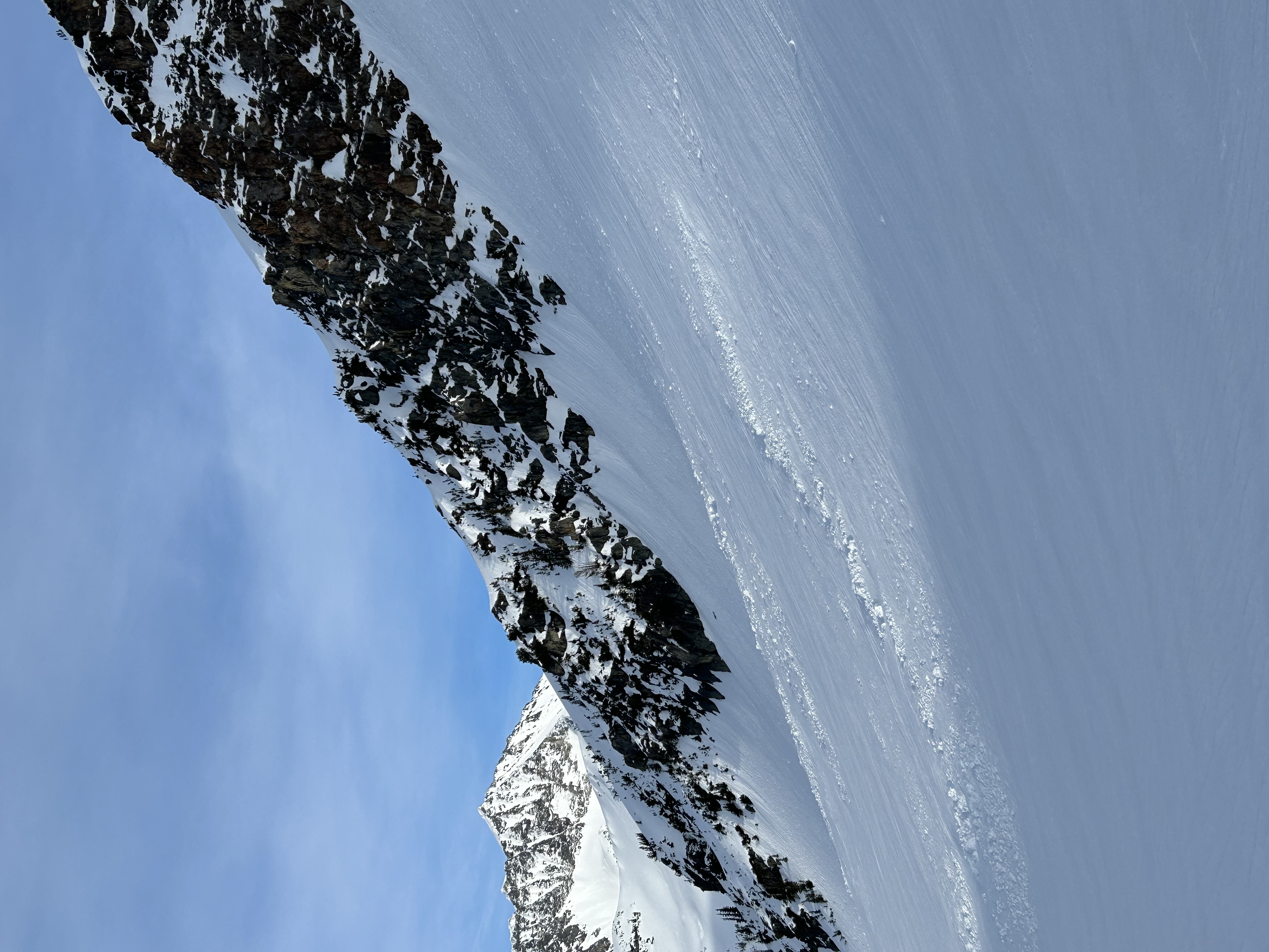 Observation photo