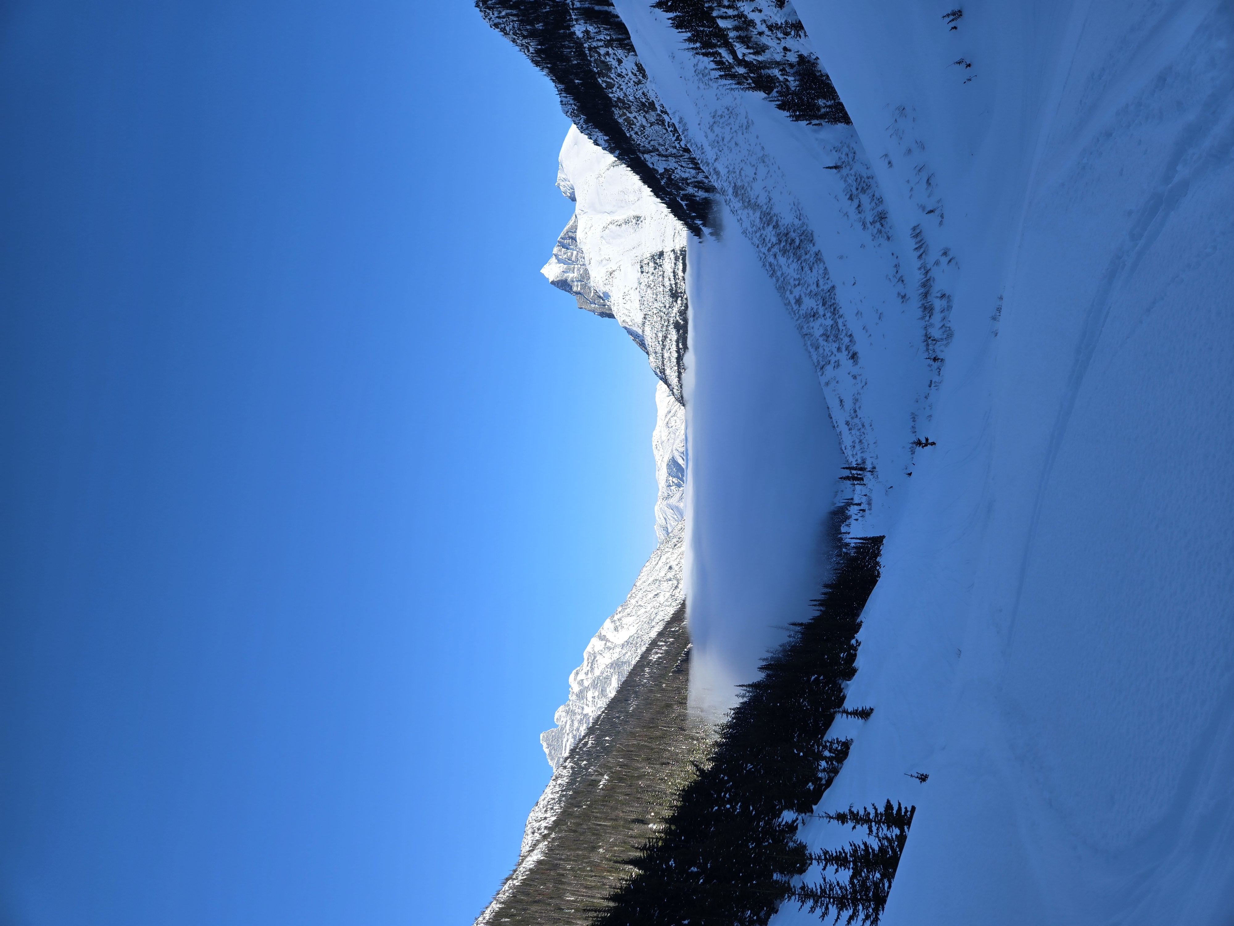 Observation photo