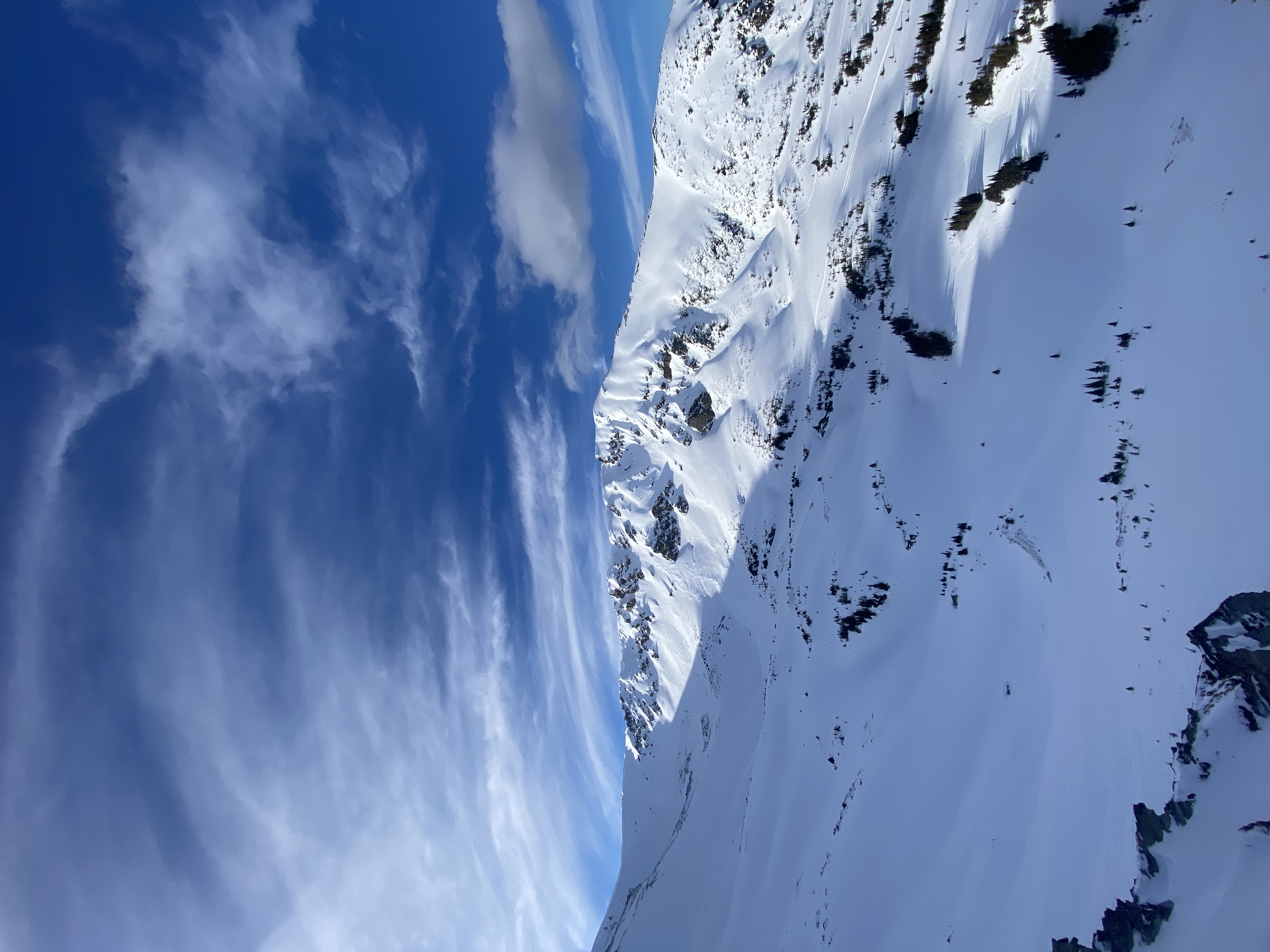Observation photo