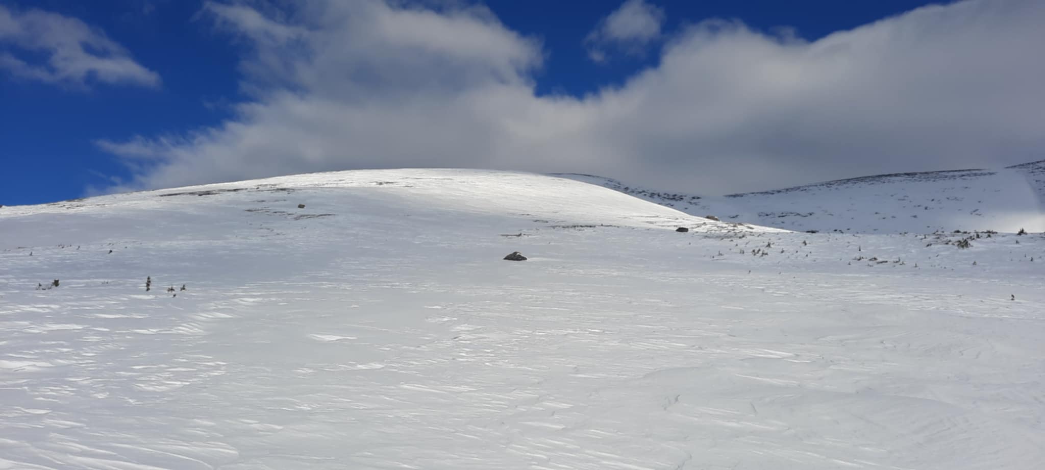 Observation photo
