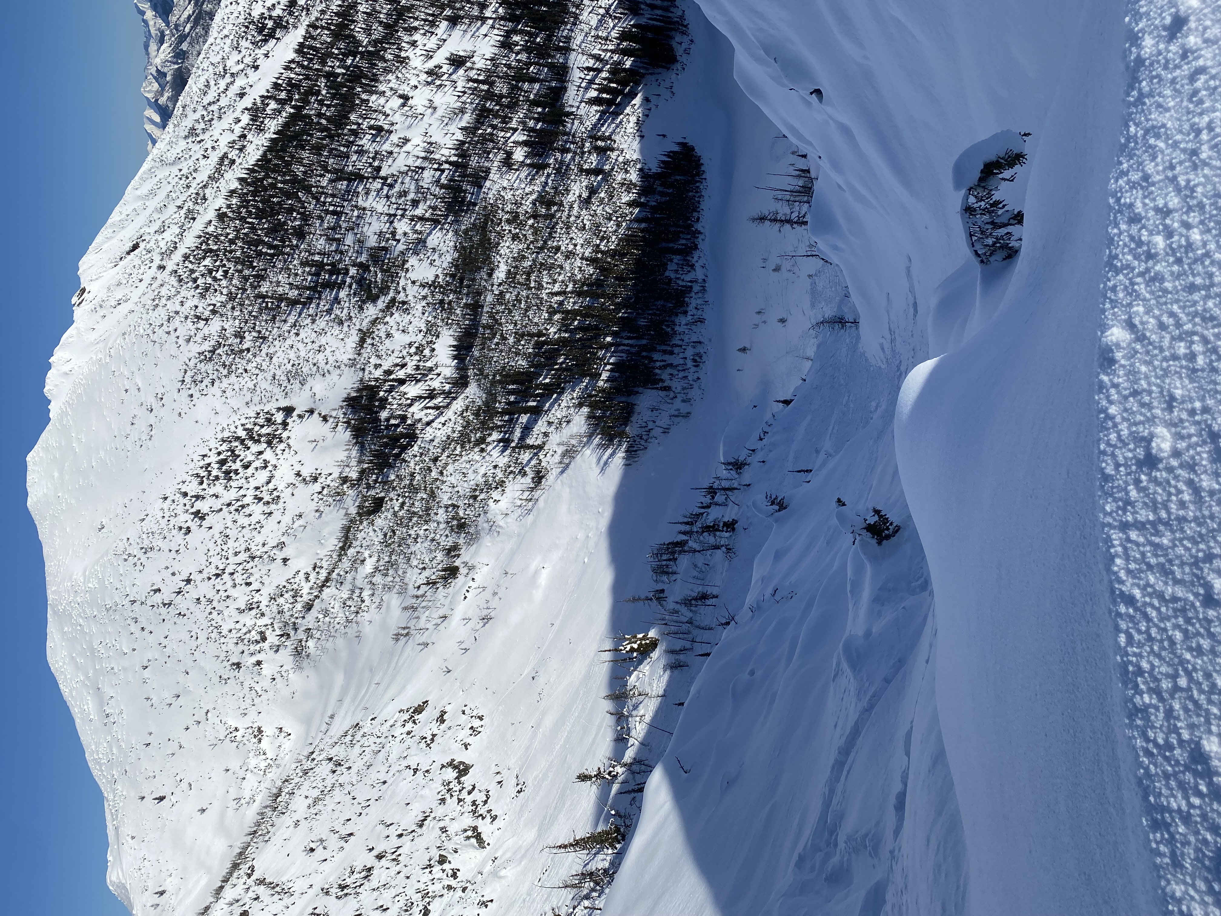 Observation photo