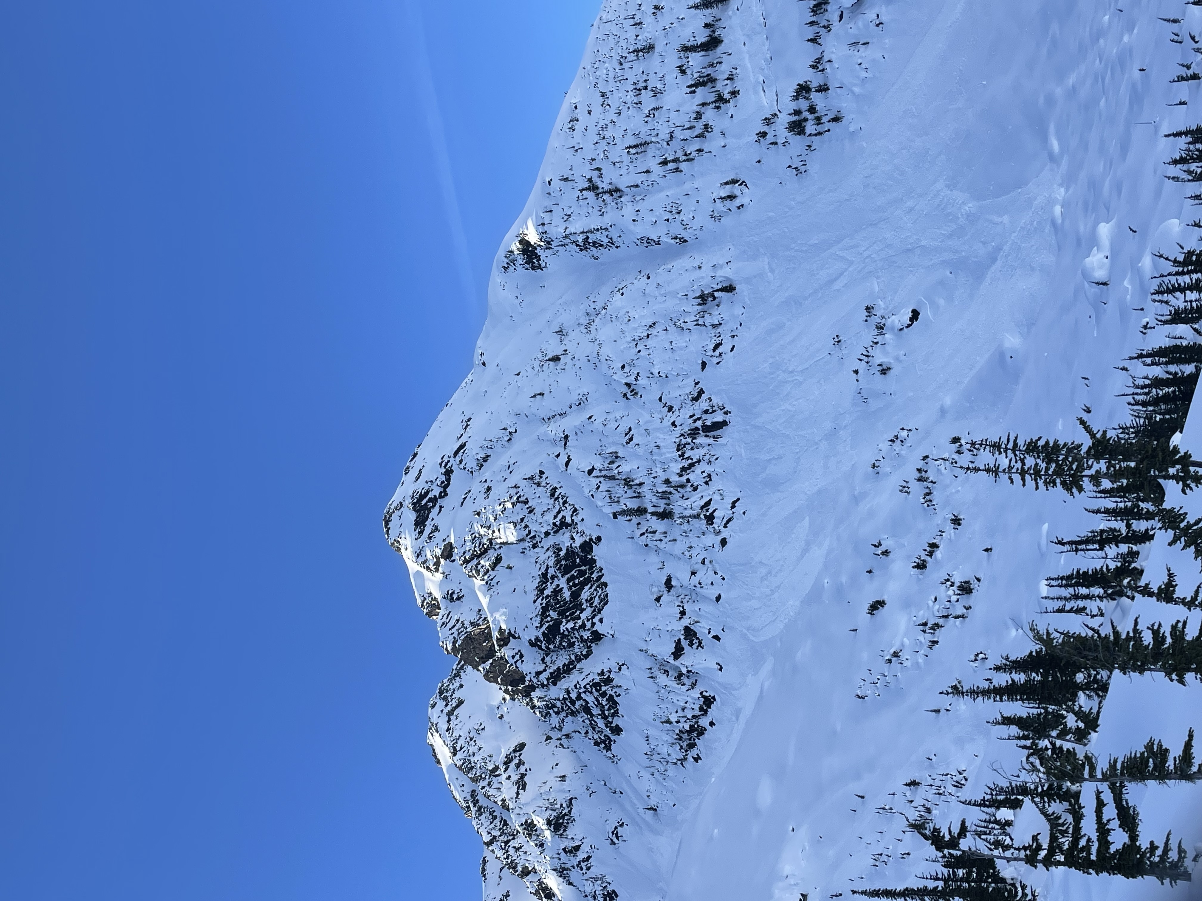 Observation photo