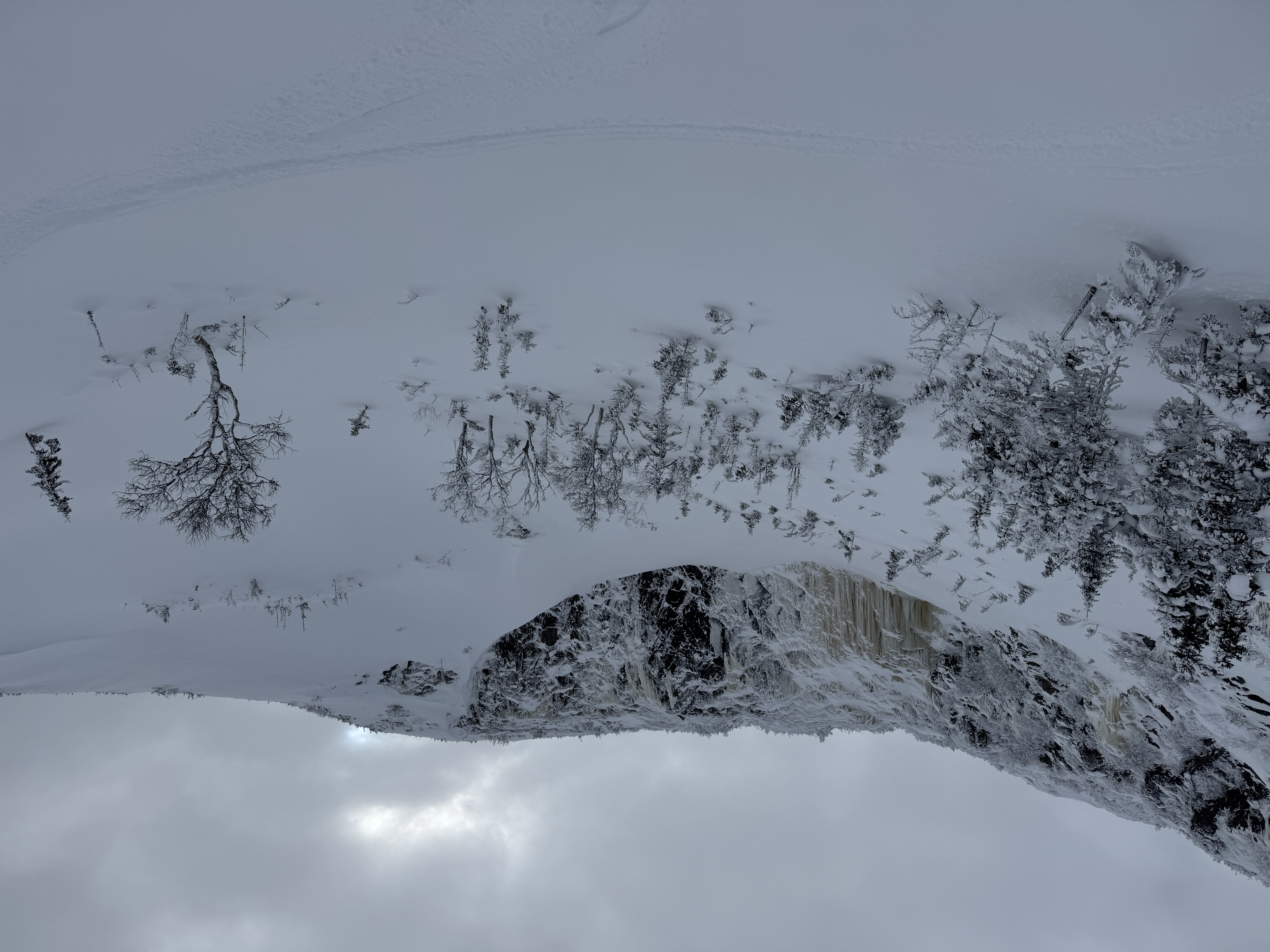 Observation photo