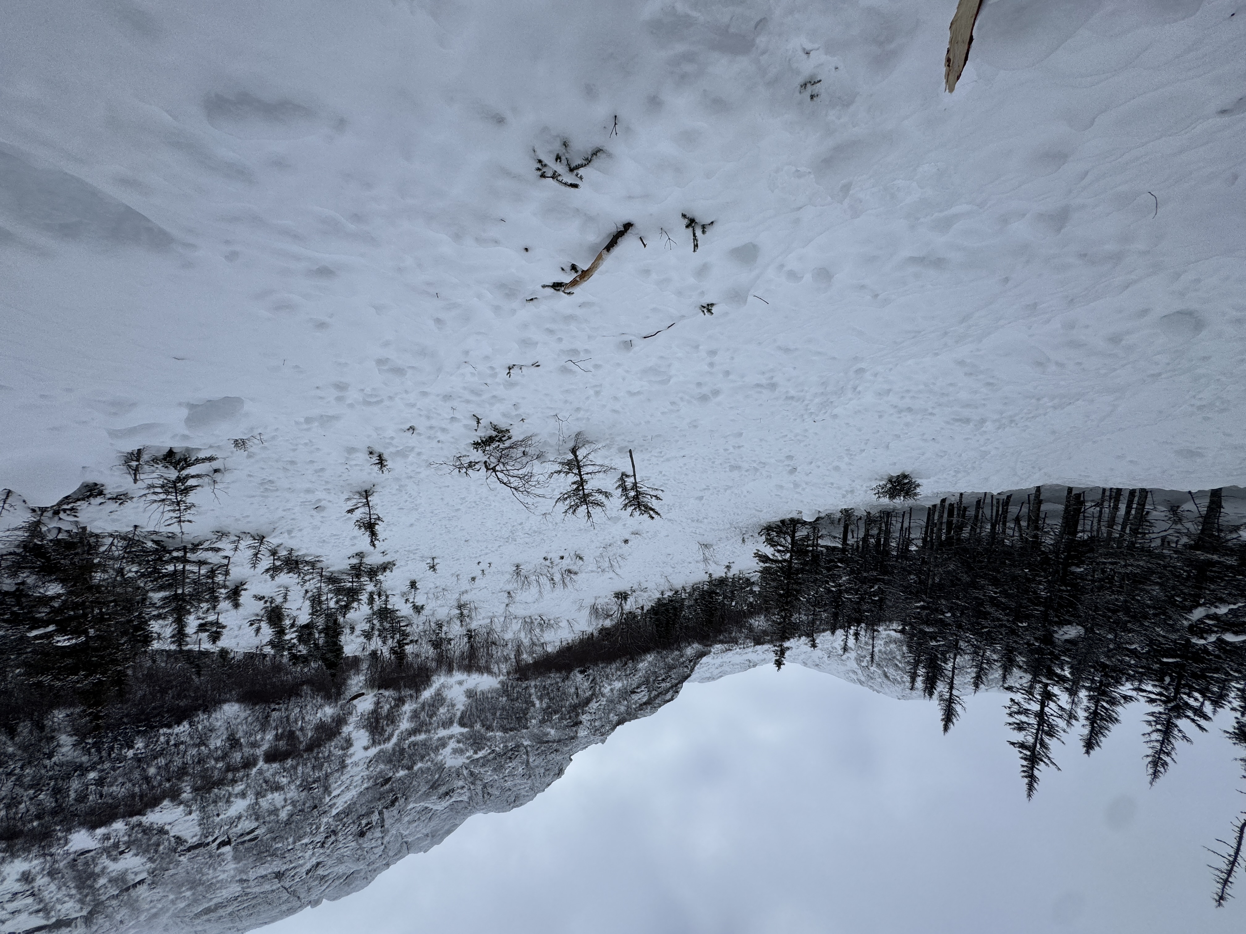 Observation photo