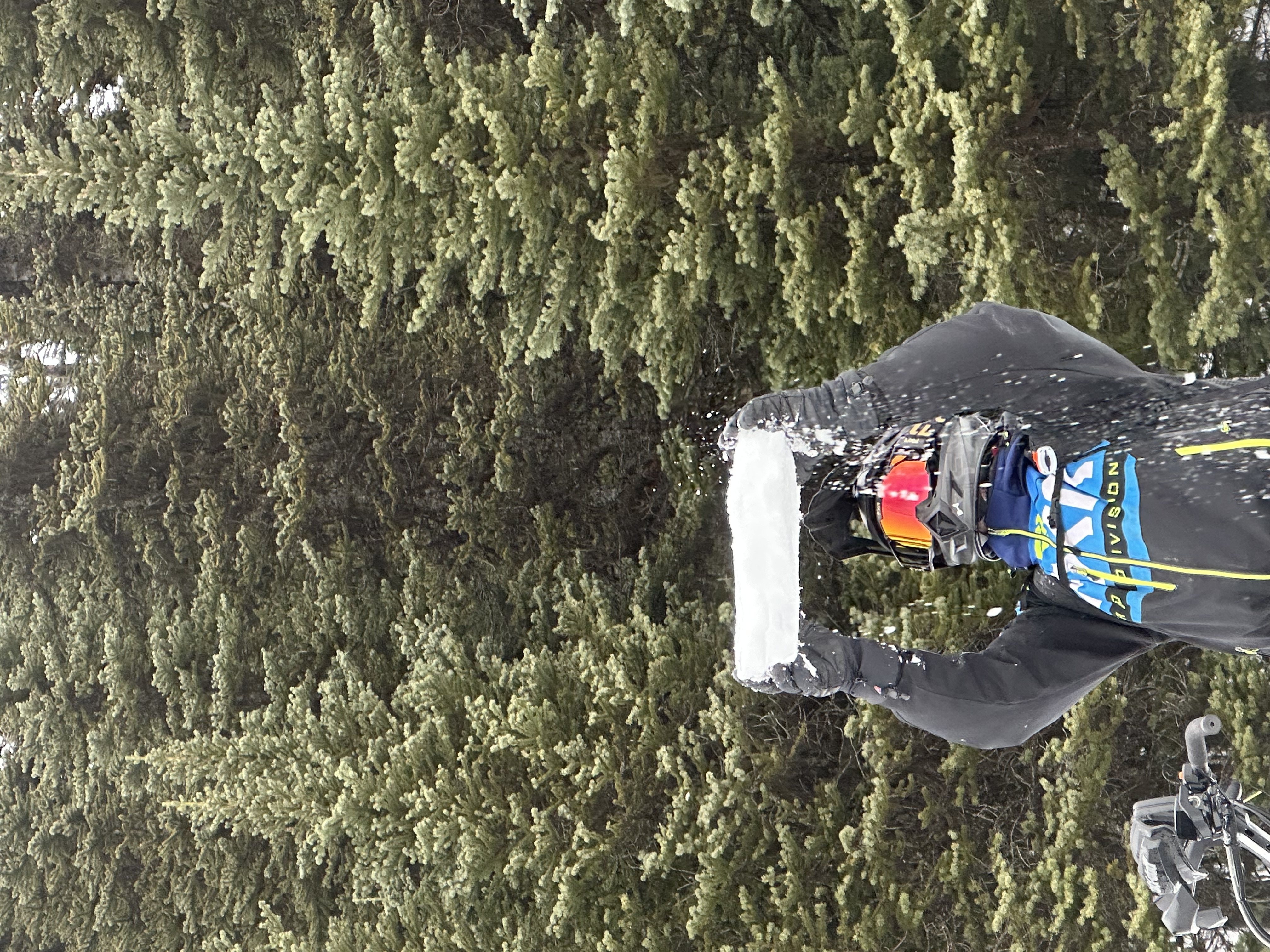 Observation photo