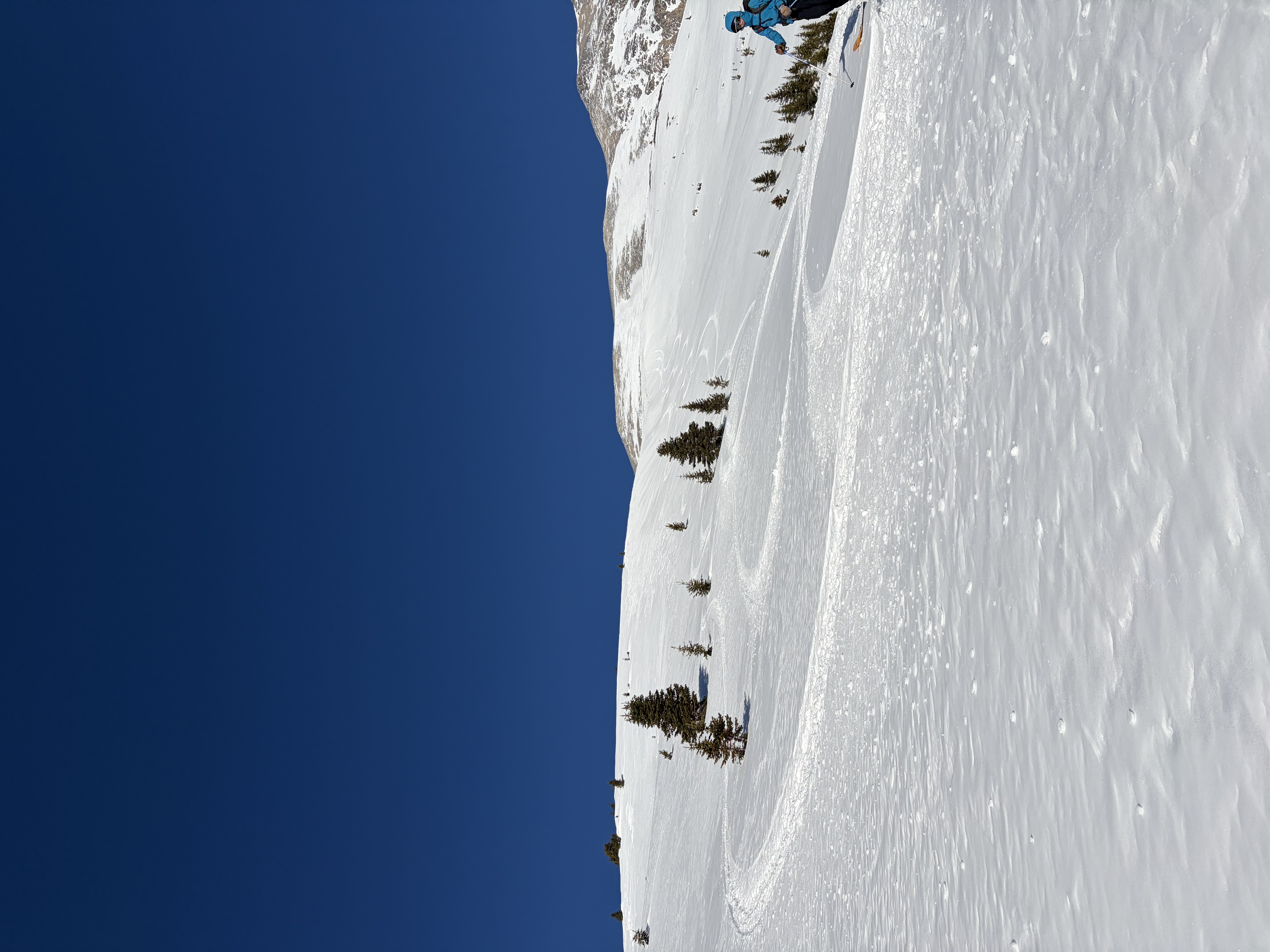 Observation photo