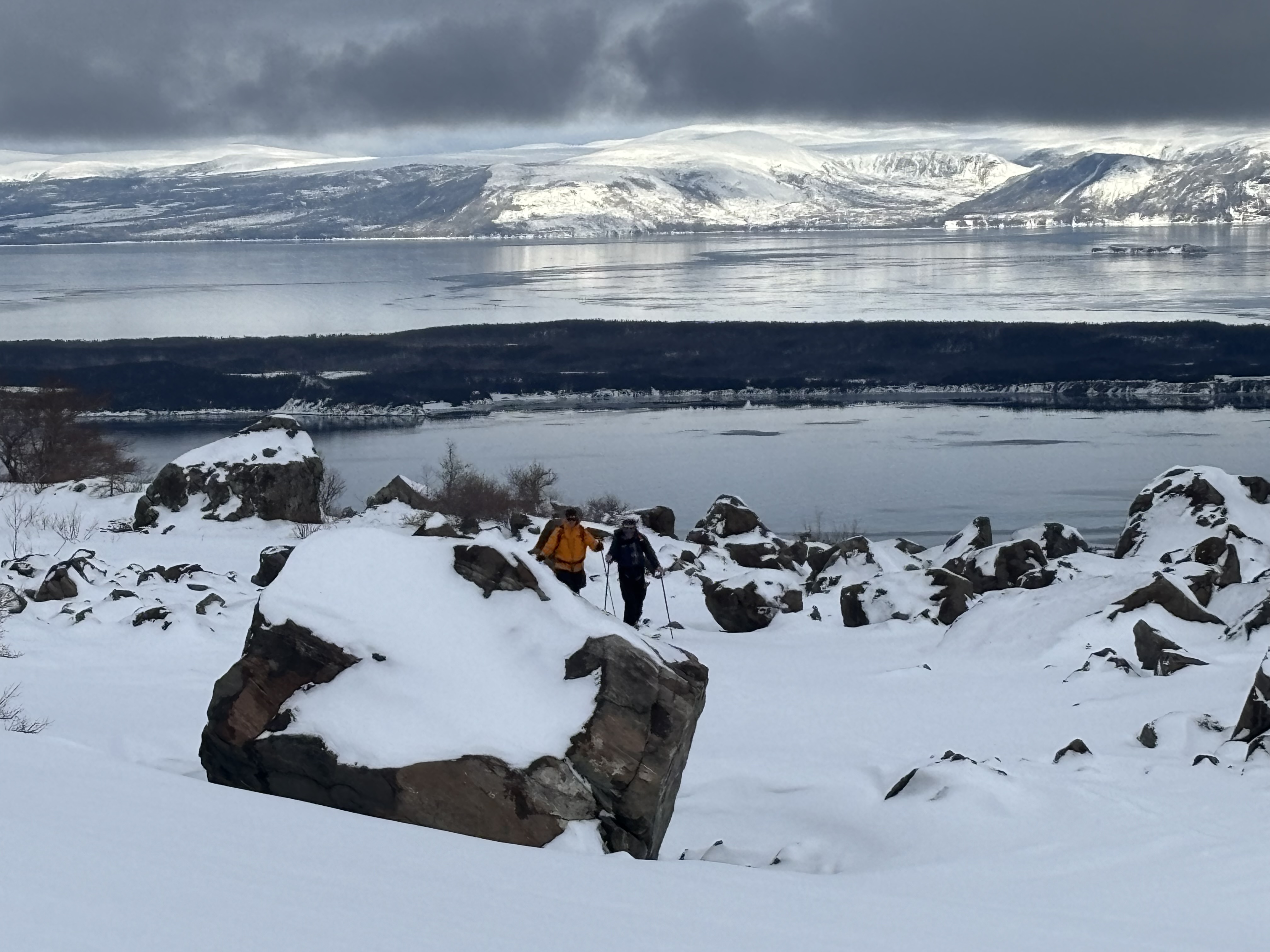 Observation photo