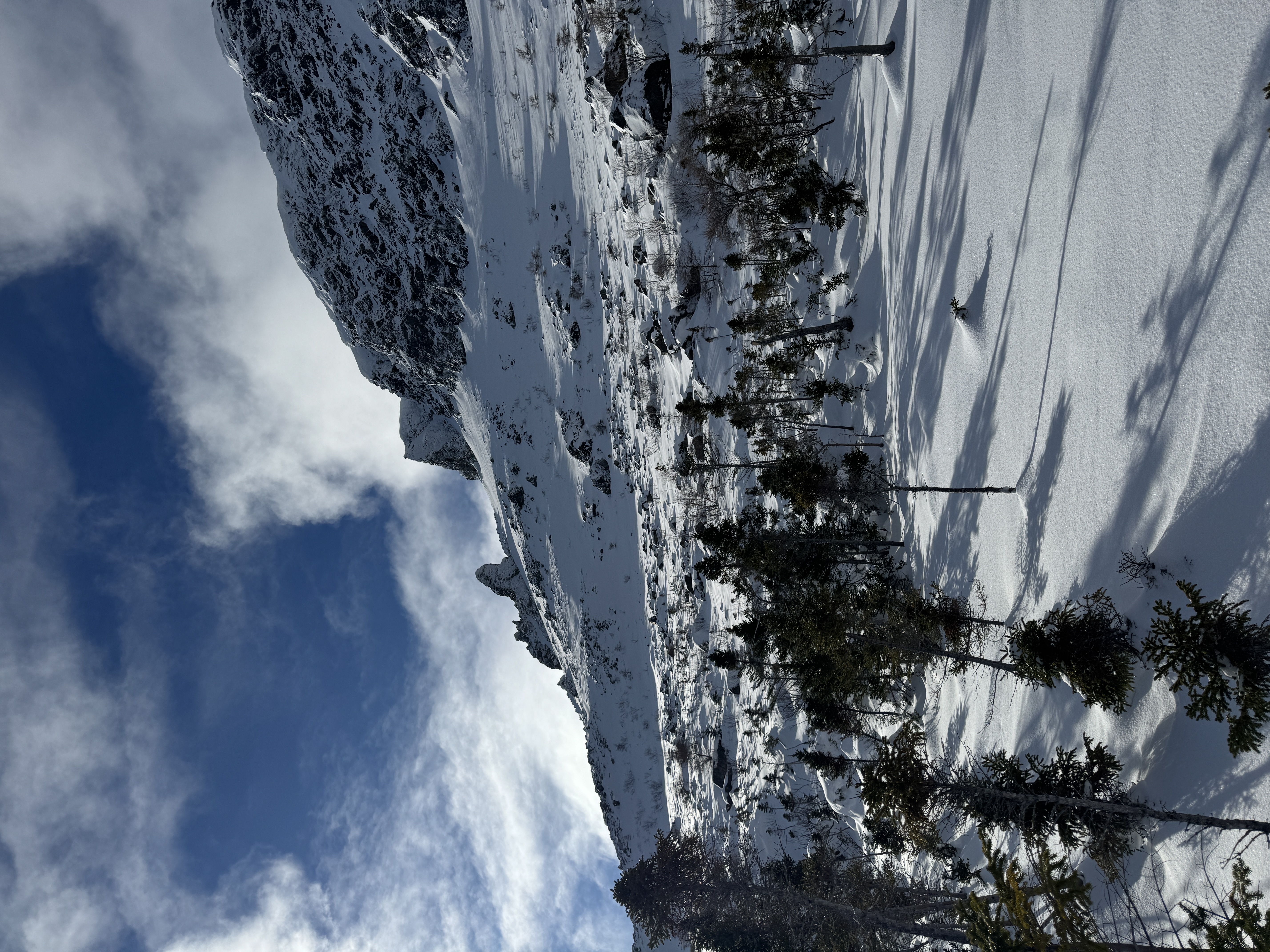 Observation photo