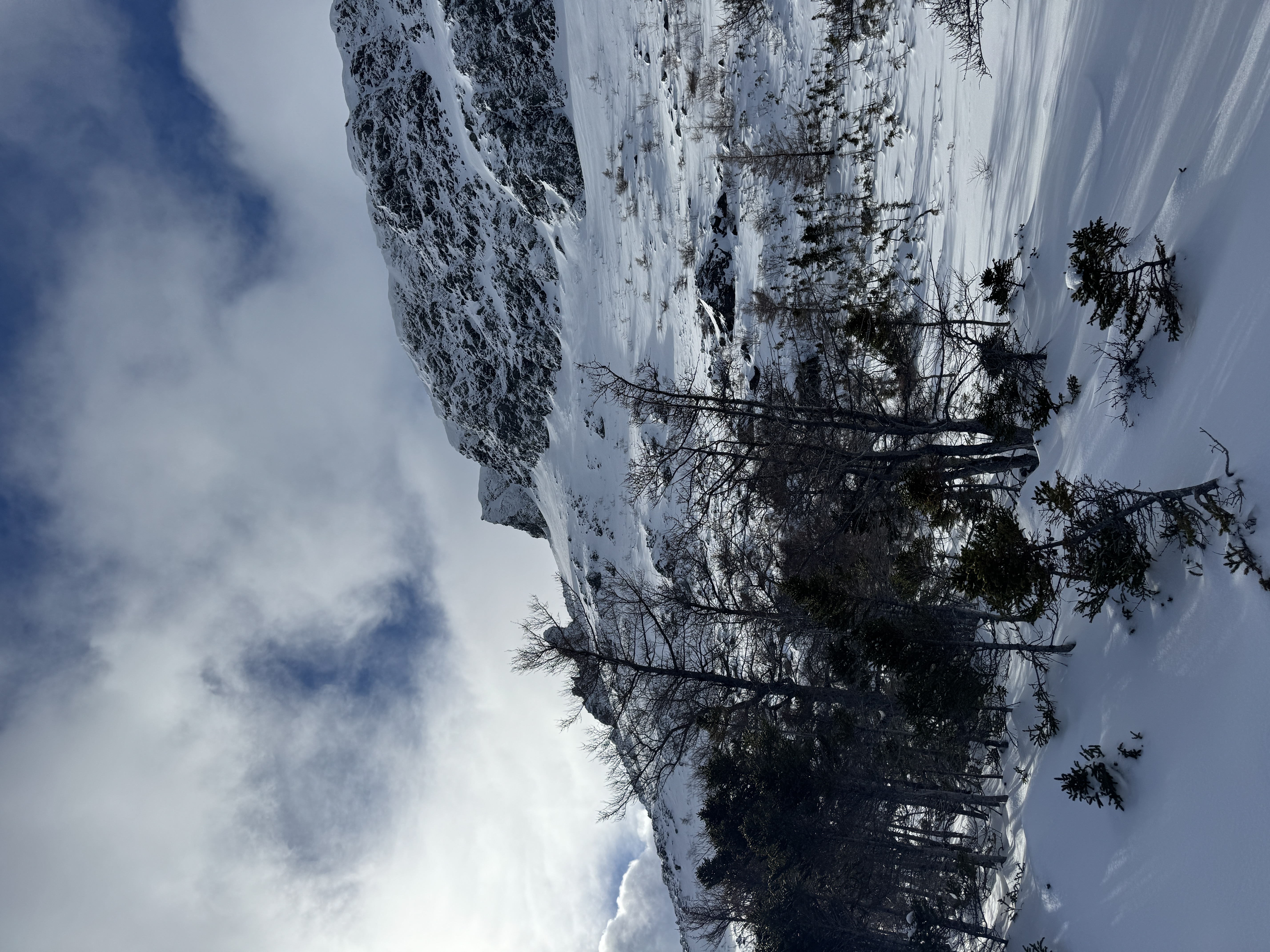 Observation photo