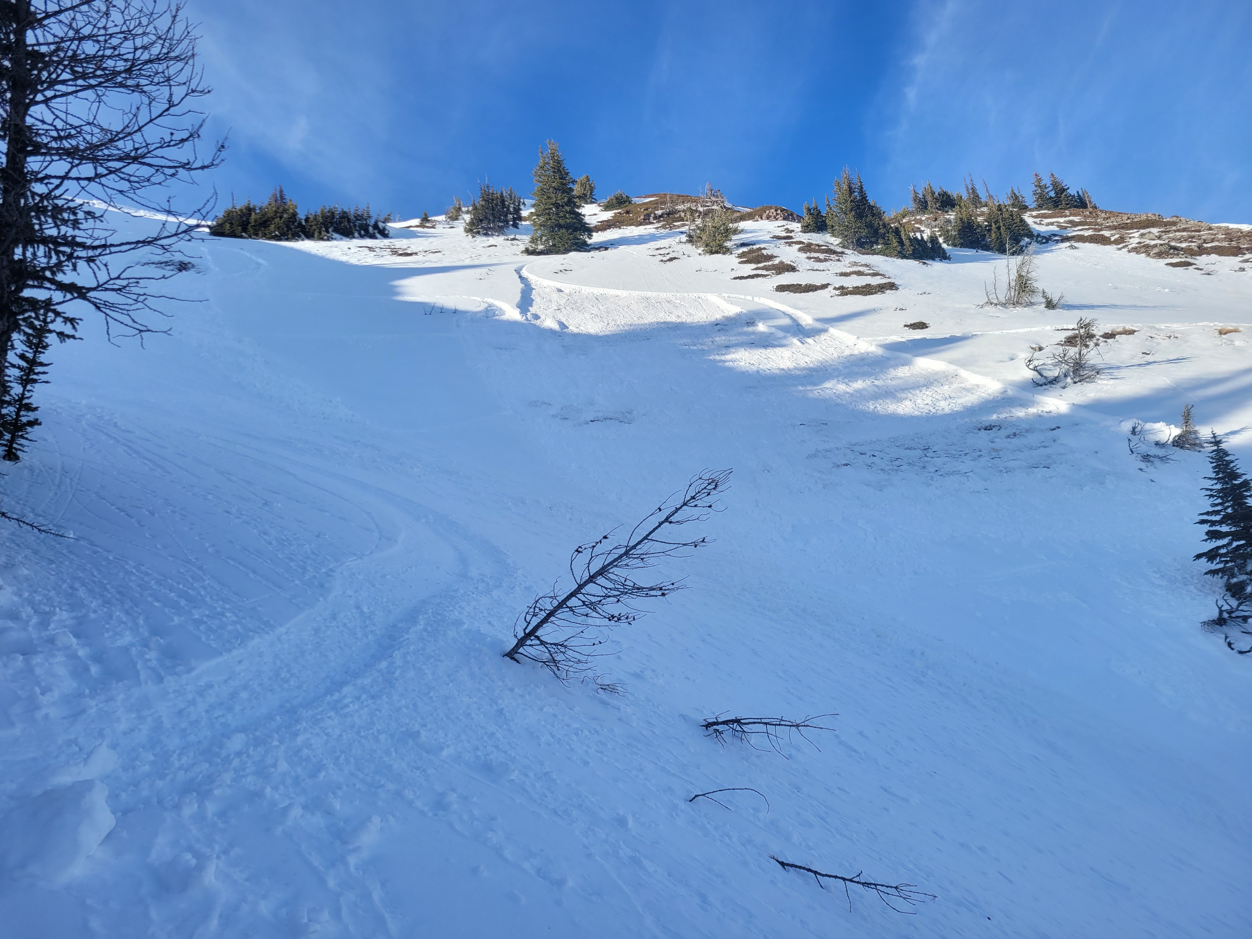 Observation photo