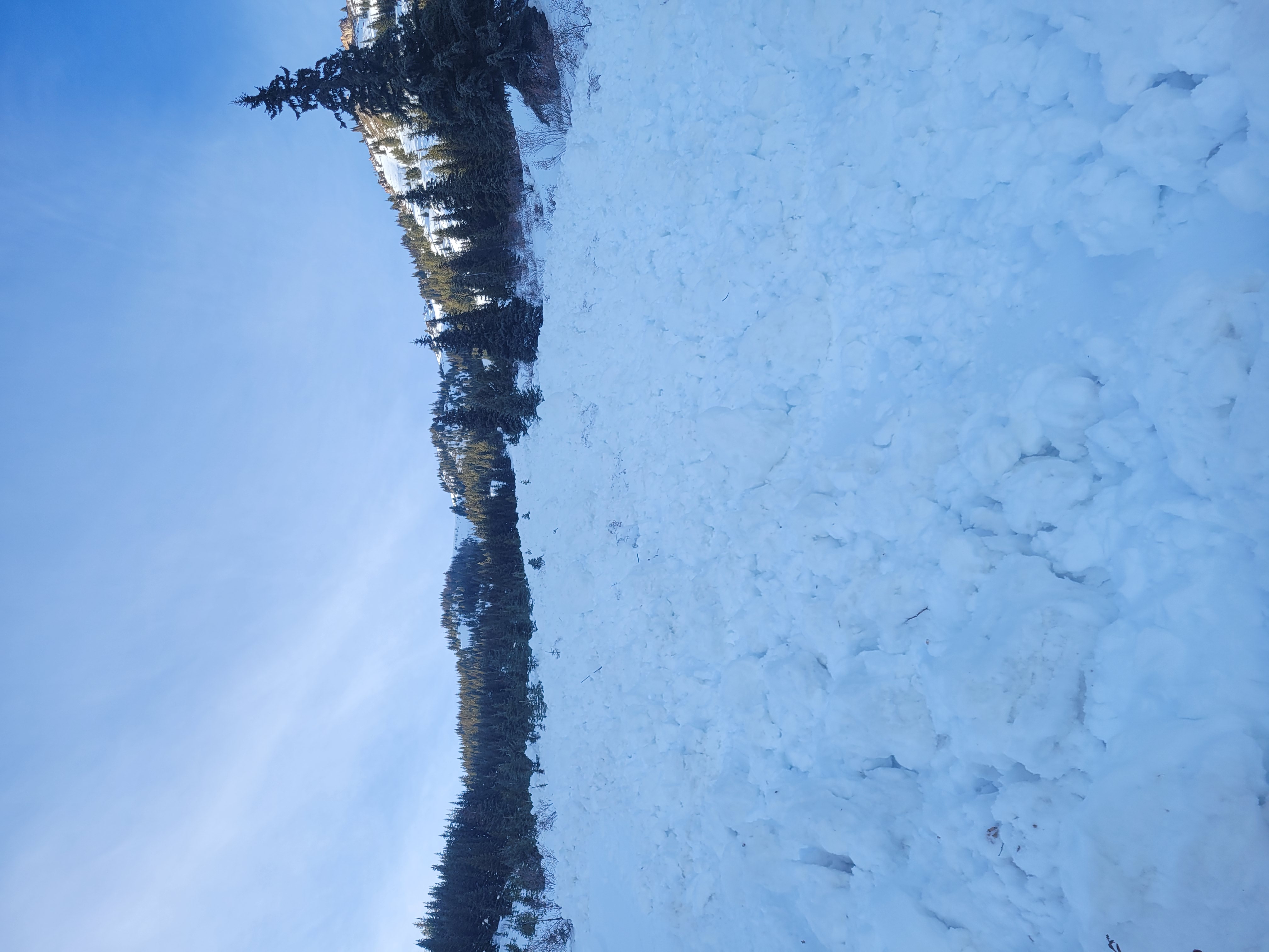 Observation photo